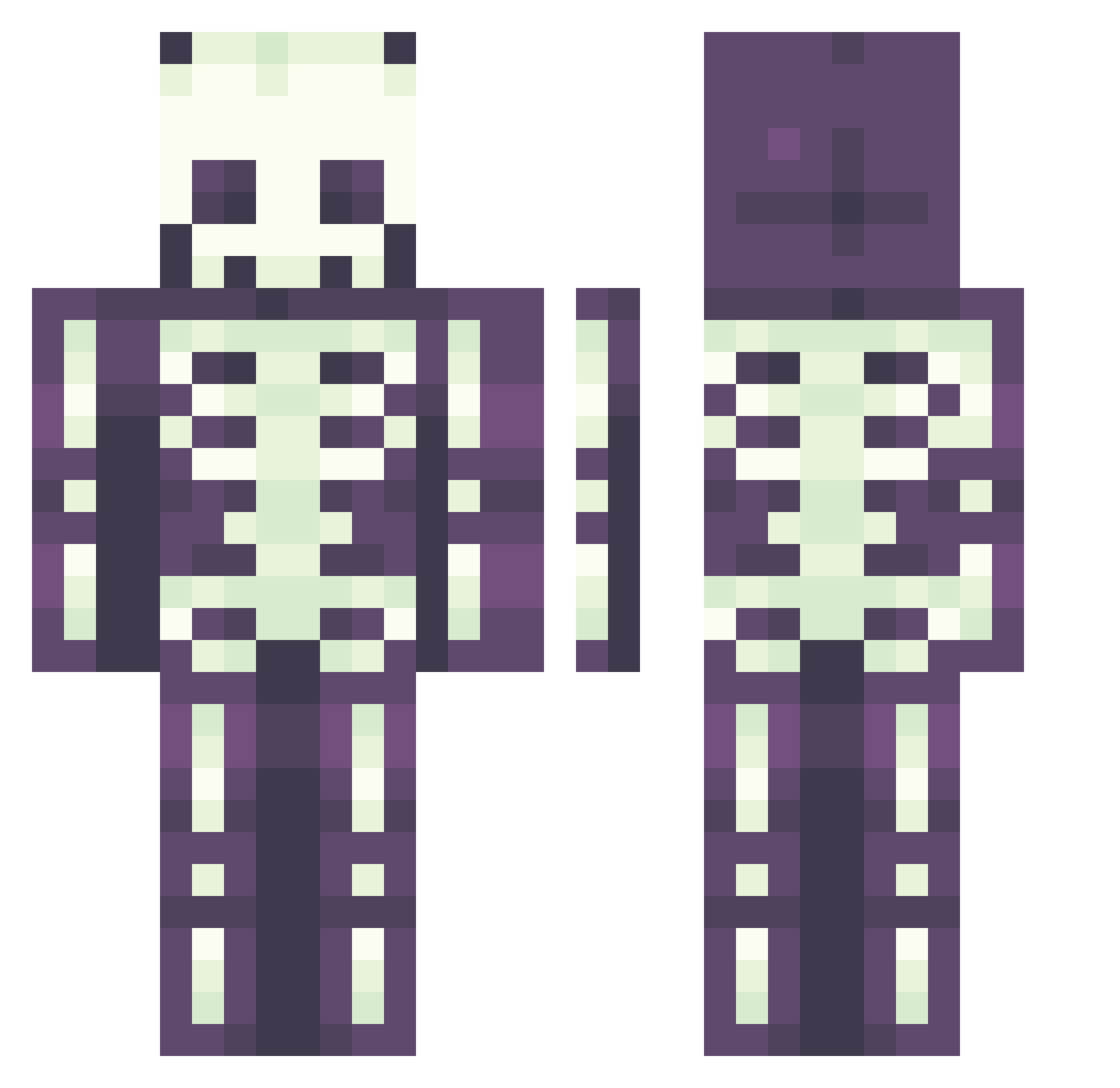 Voidwalkerzzz Minecraft skin, front and back view