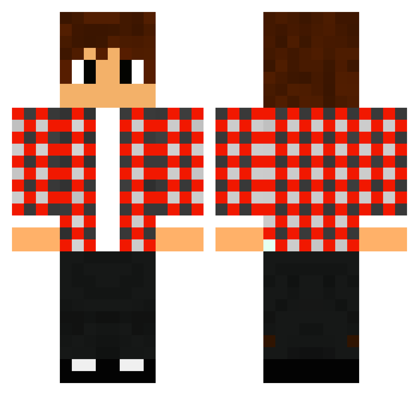 Don_canardo Minecraft skin, front and back view
