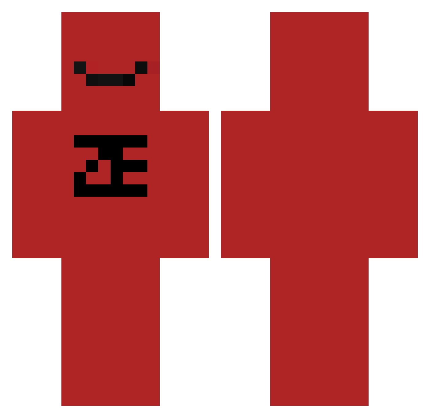 Zelonet Minecraft skin, front and back view