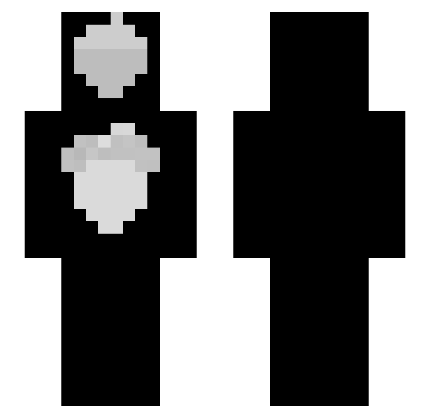 Polin Minecraft skin, front and back view