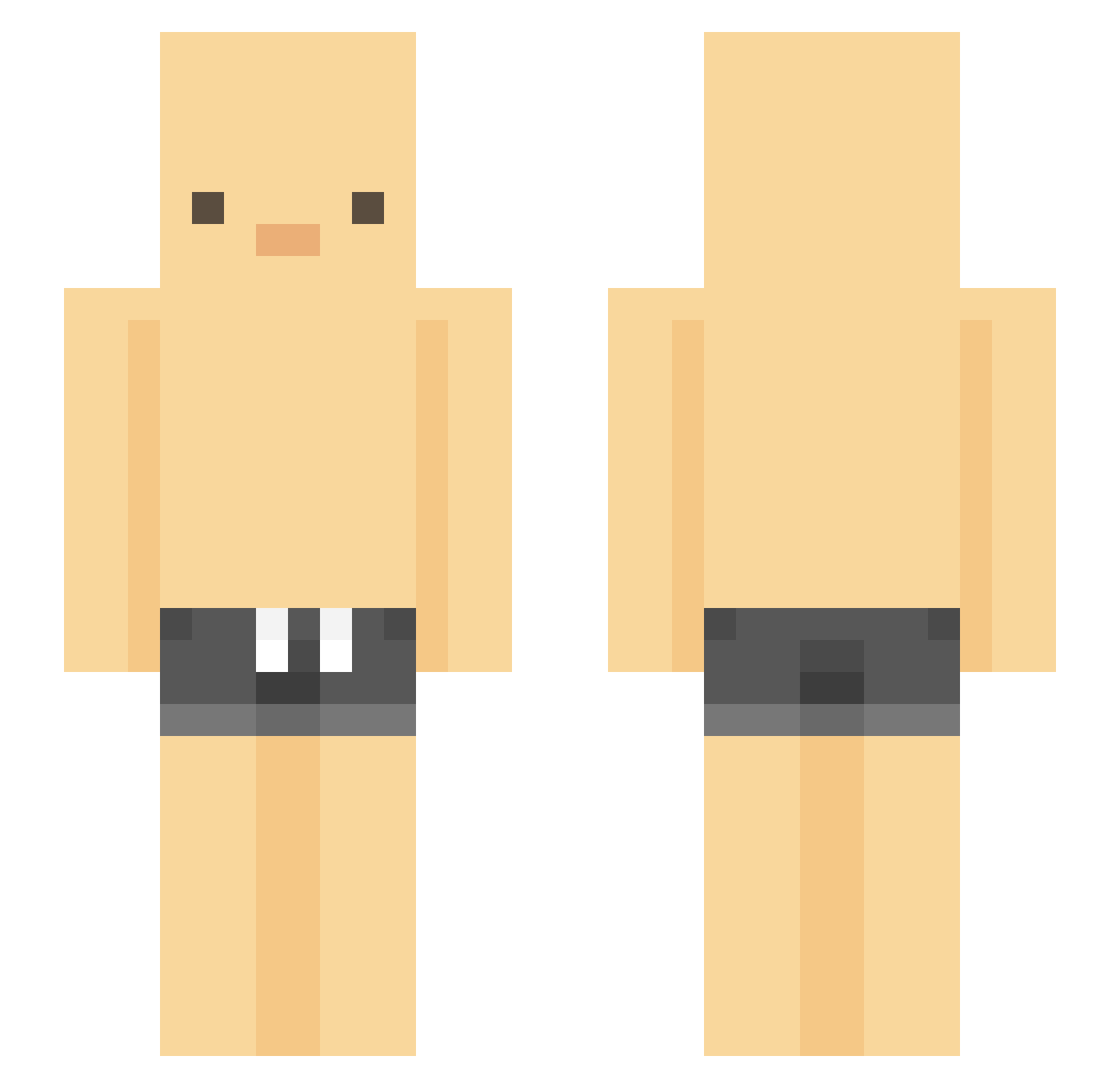 _100D Minecraft skin, front and back view