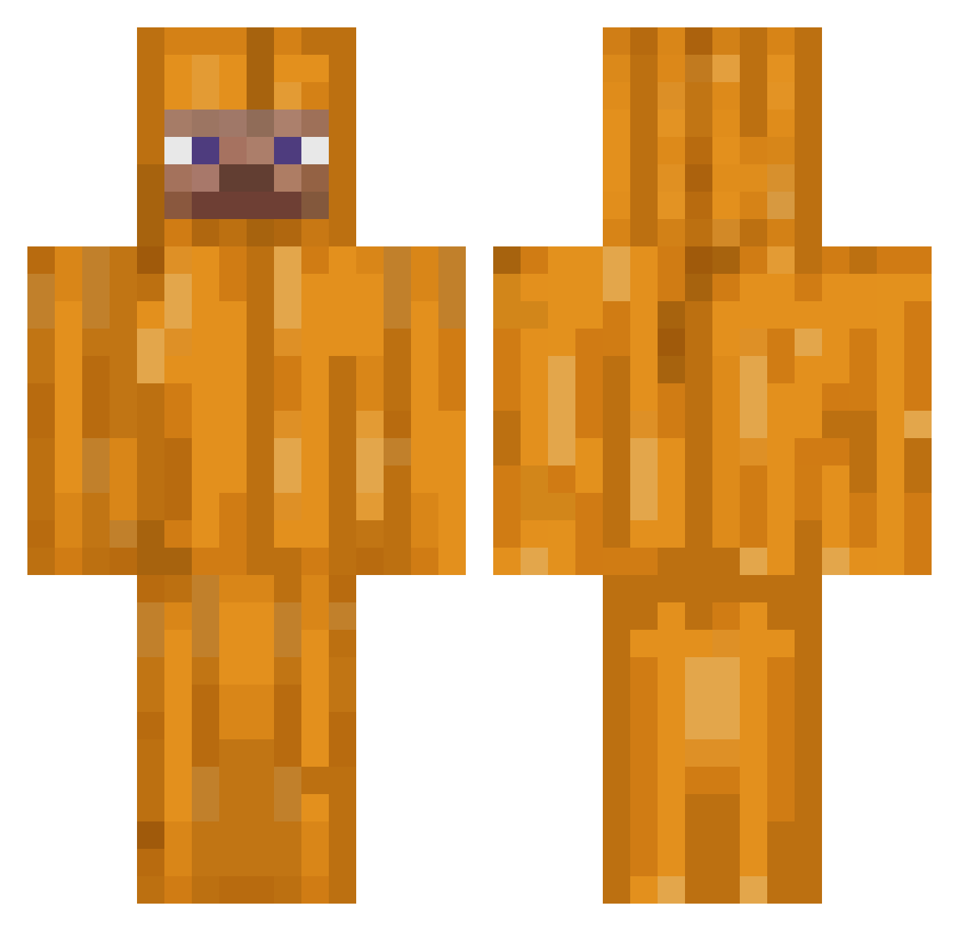 JankBotekoDidii Minecraft skin, front and back view