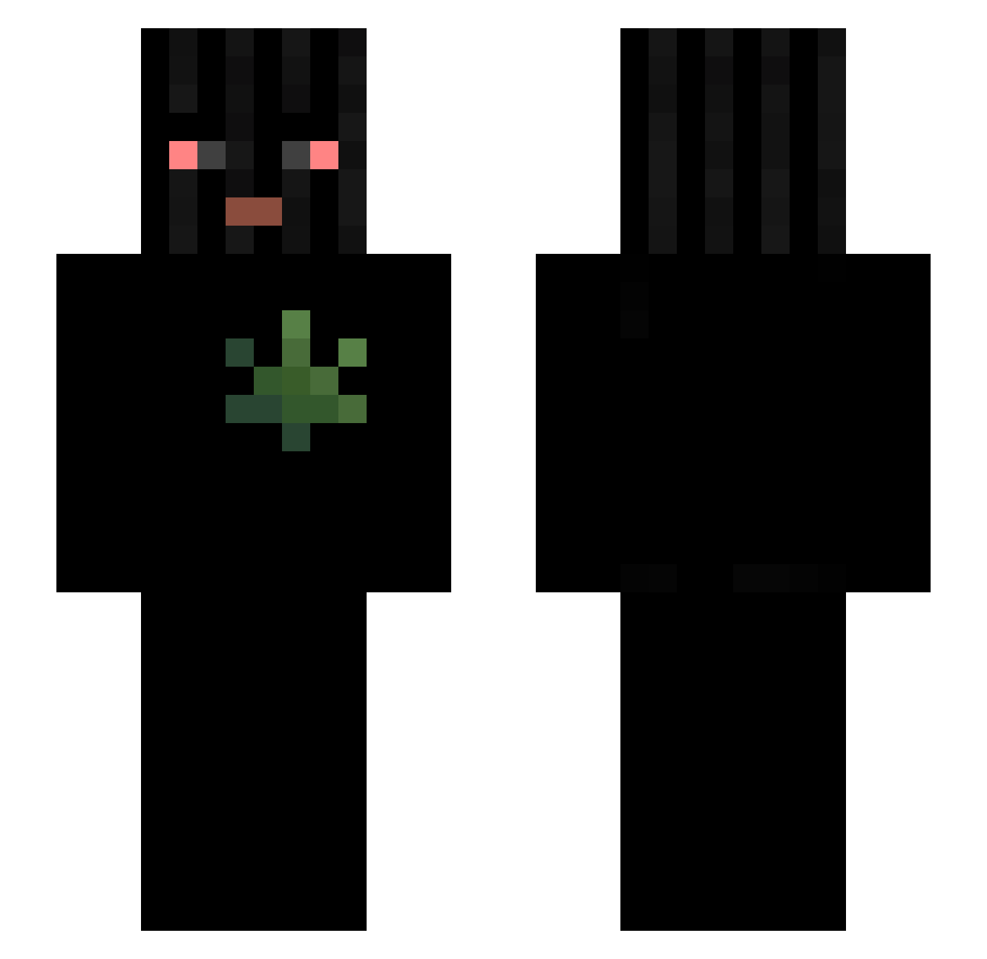 LandonHasWetFeet Minecraft skin, front and back view