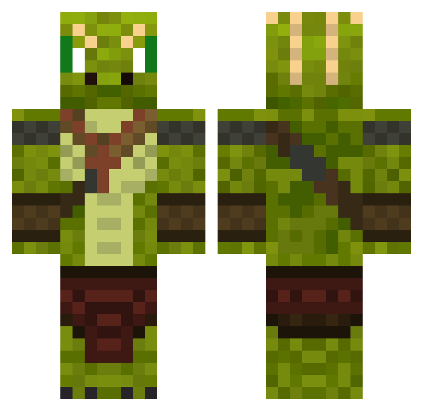 Chitin Minecraft skin, front and back view