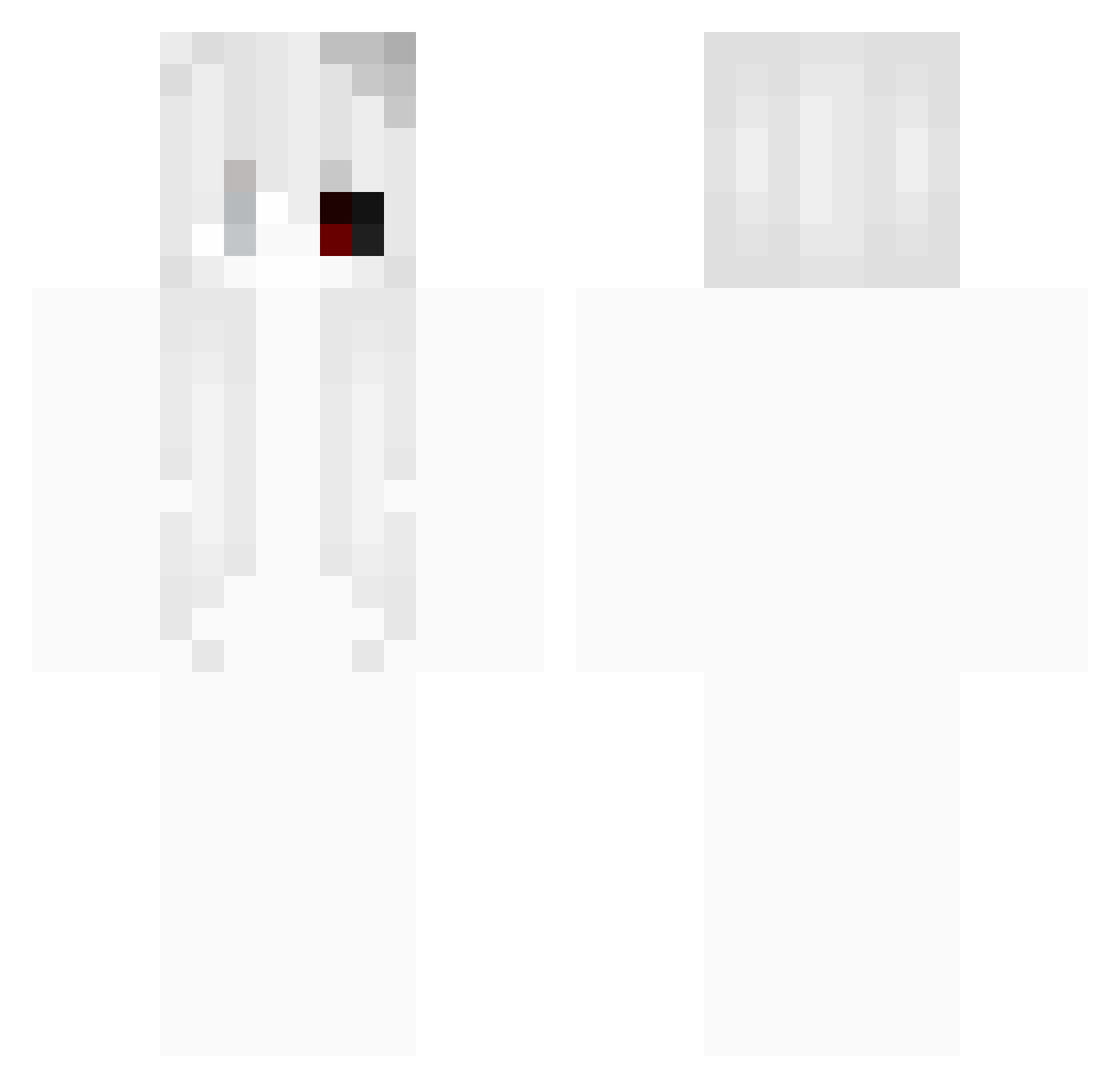 ili_d2 Minecraft skin, front and back view