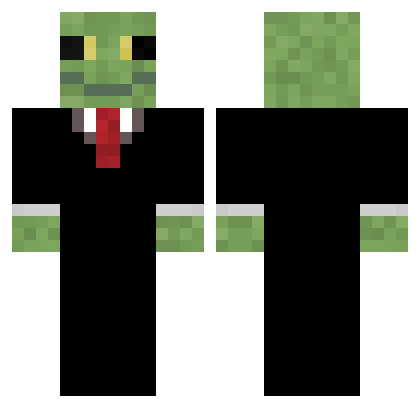 ToxicMosquito Minecraft skin, front and back view