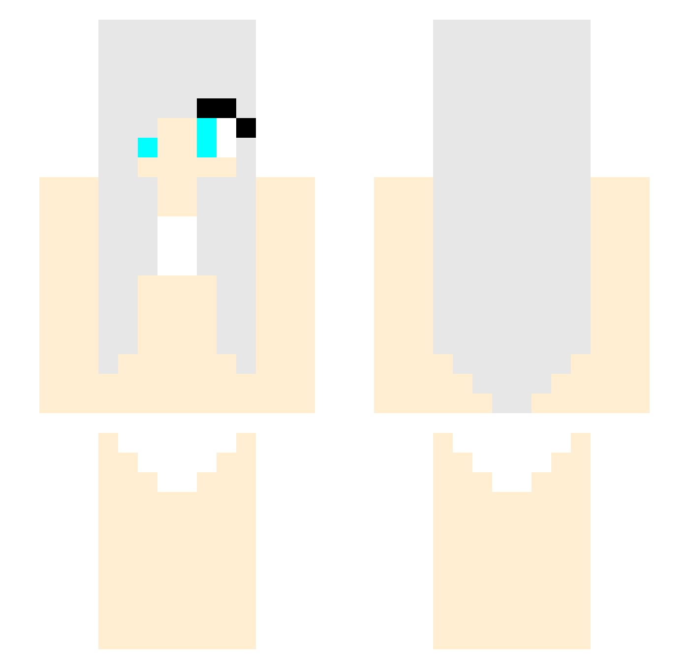 scam4scam Minecraft skin, front and back view