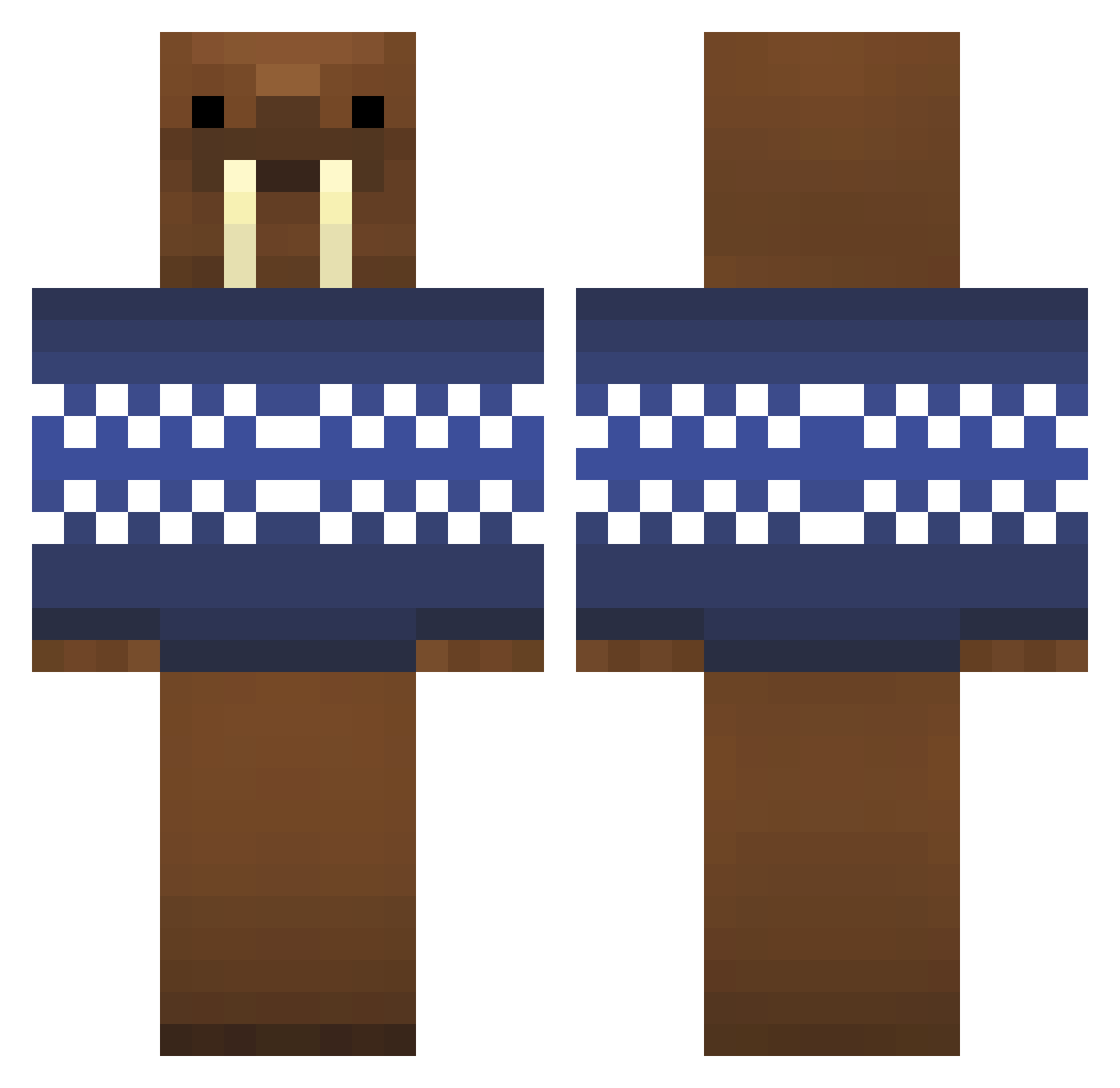 Revisit Minecraft skin, front and back view