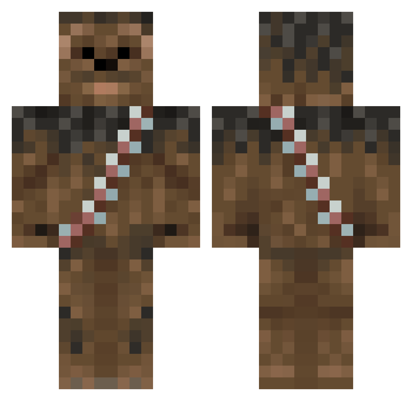 Donella Minecraft skin, front and back view