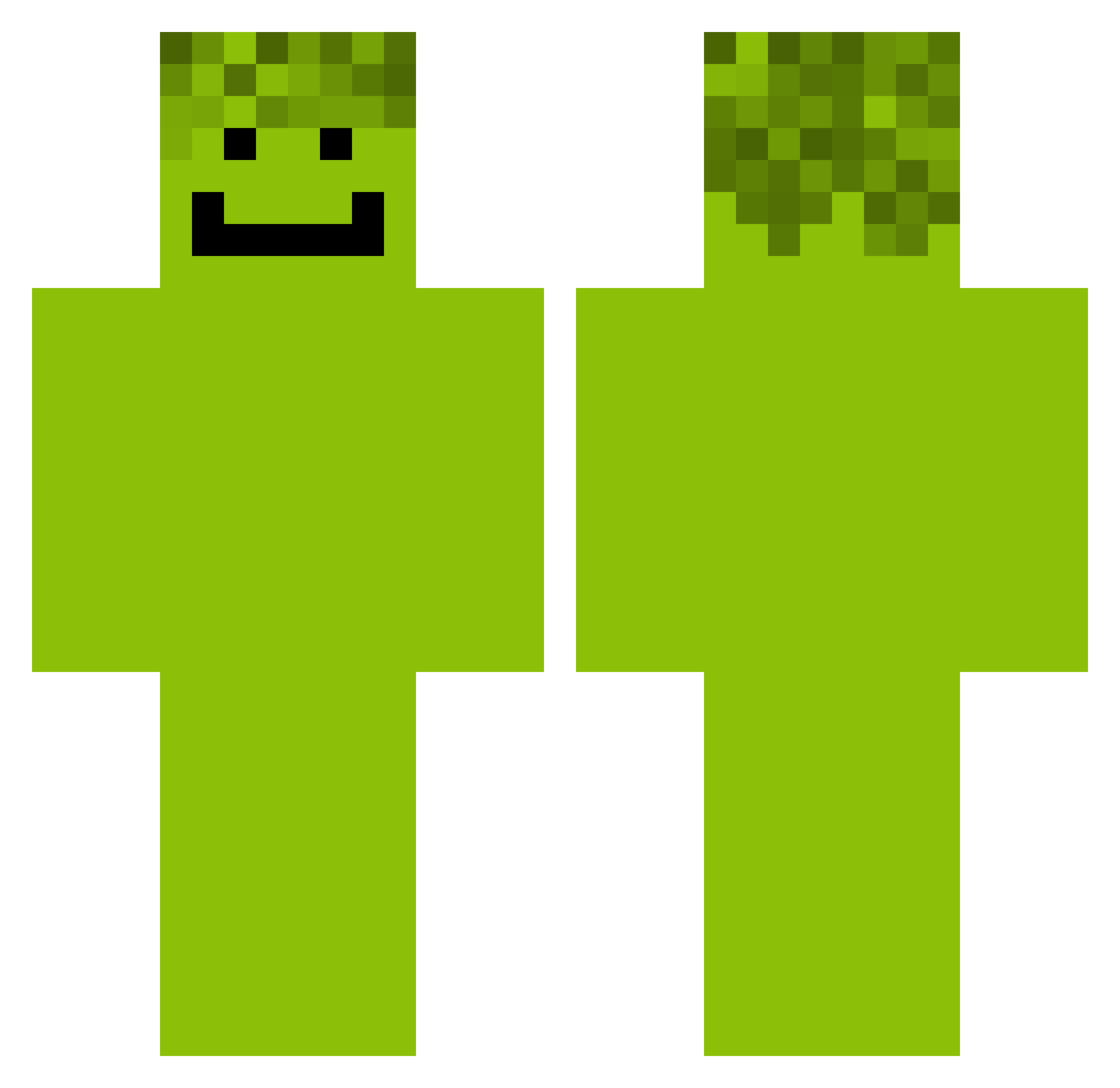 shigglerr_ Minecraft skin, front and back view