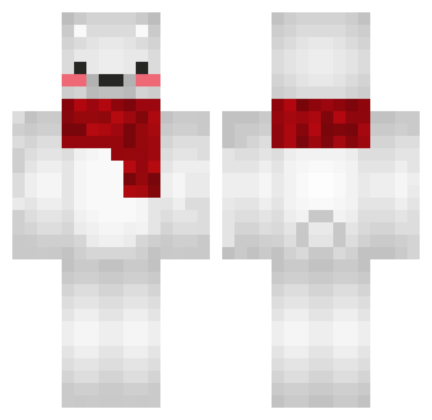 Z00mZoom Minecraft skin, front and back view