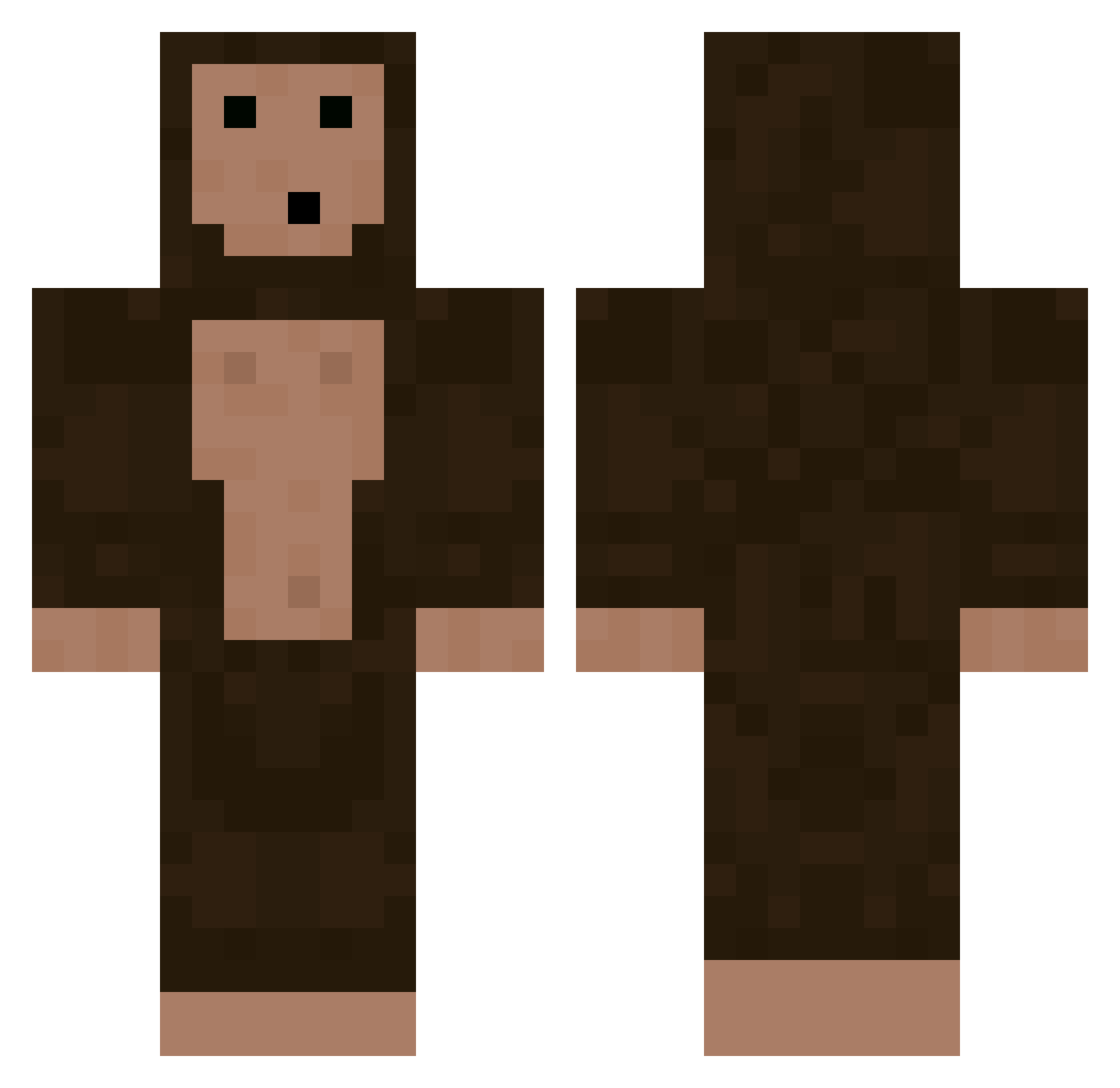 Multiplicate Minecraft skin, front and back view