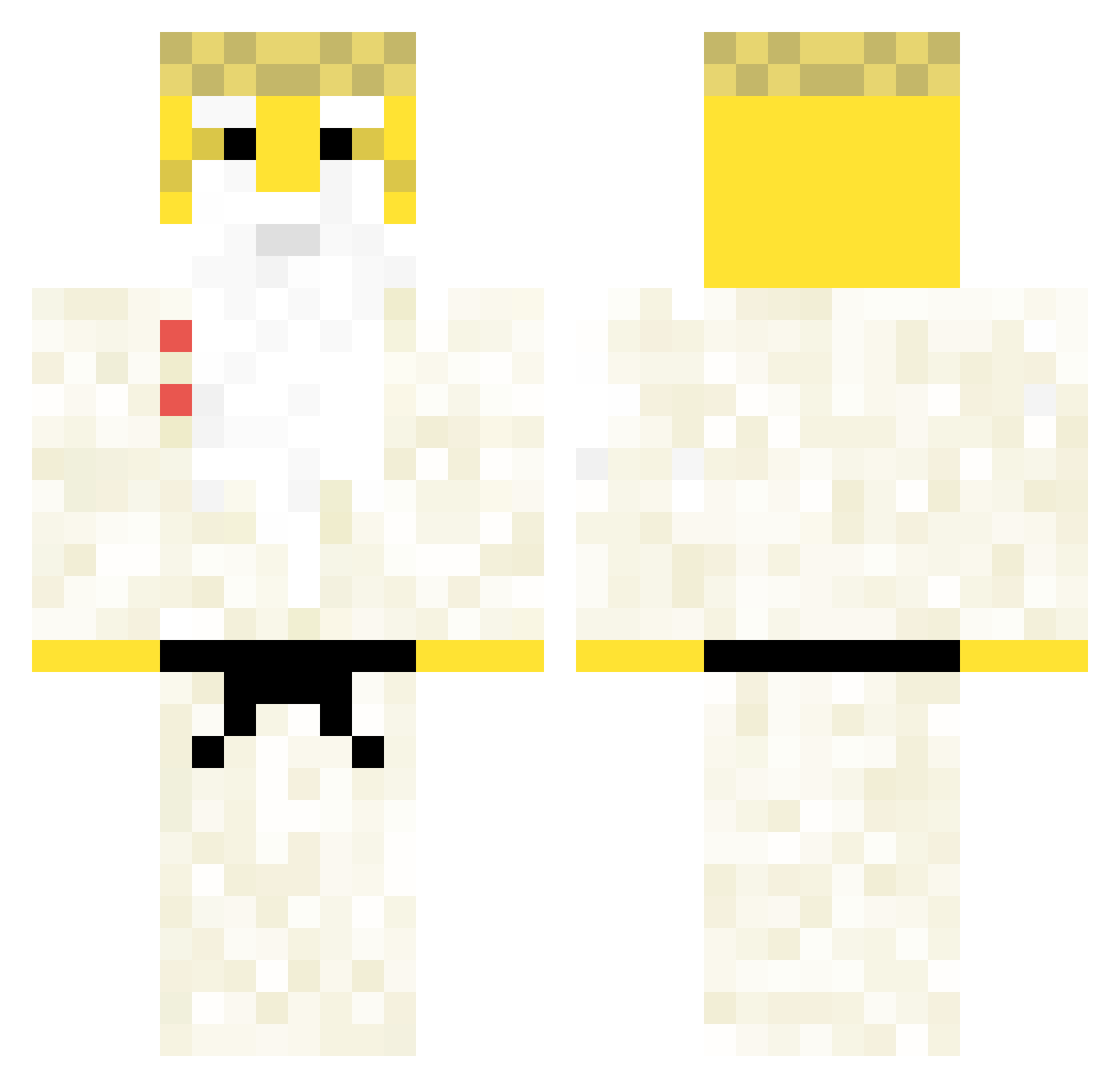 zaruii Minecraft skin, front and back view