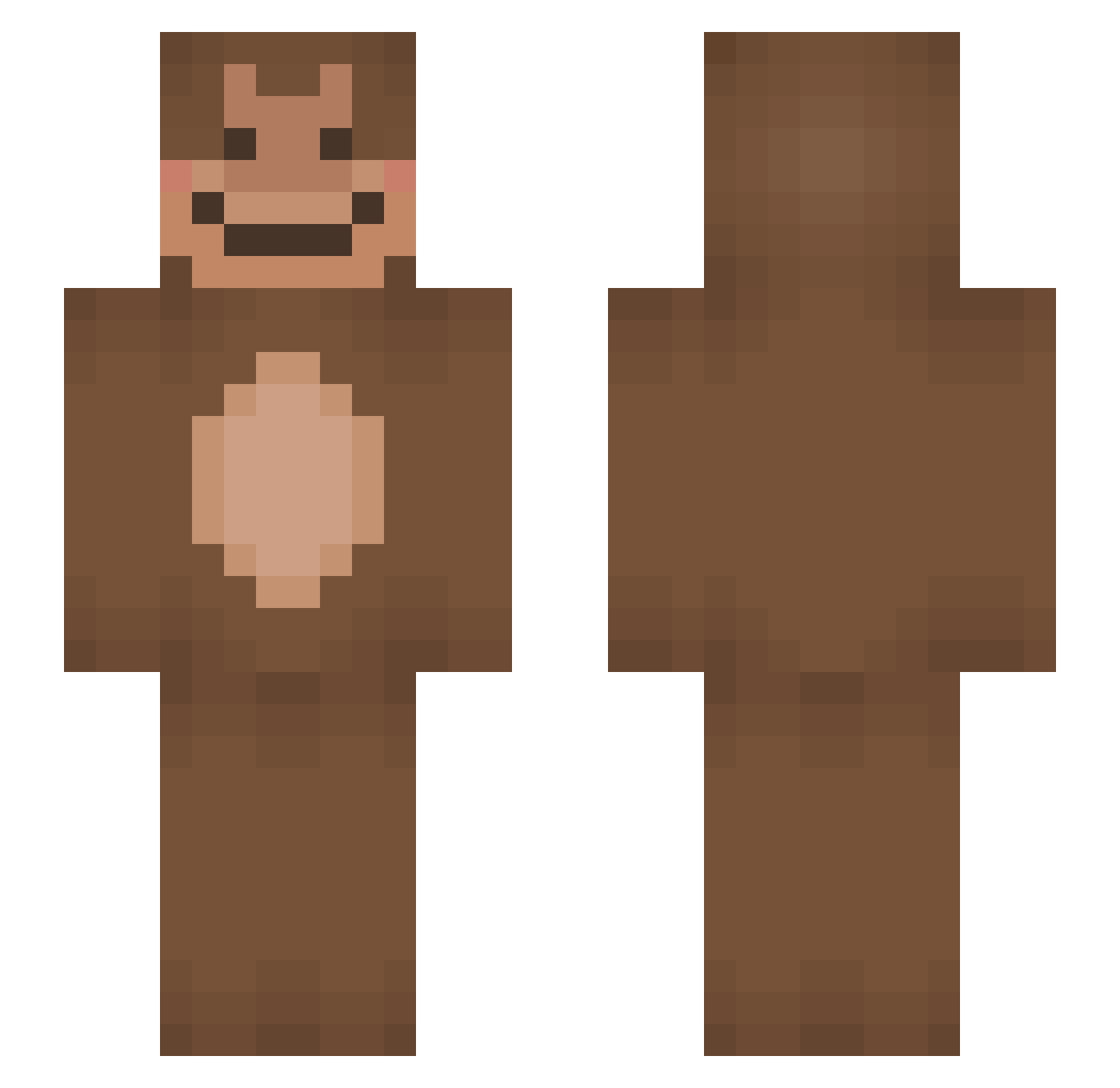 Retrofits Minecraft skin, front and back view