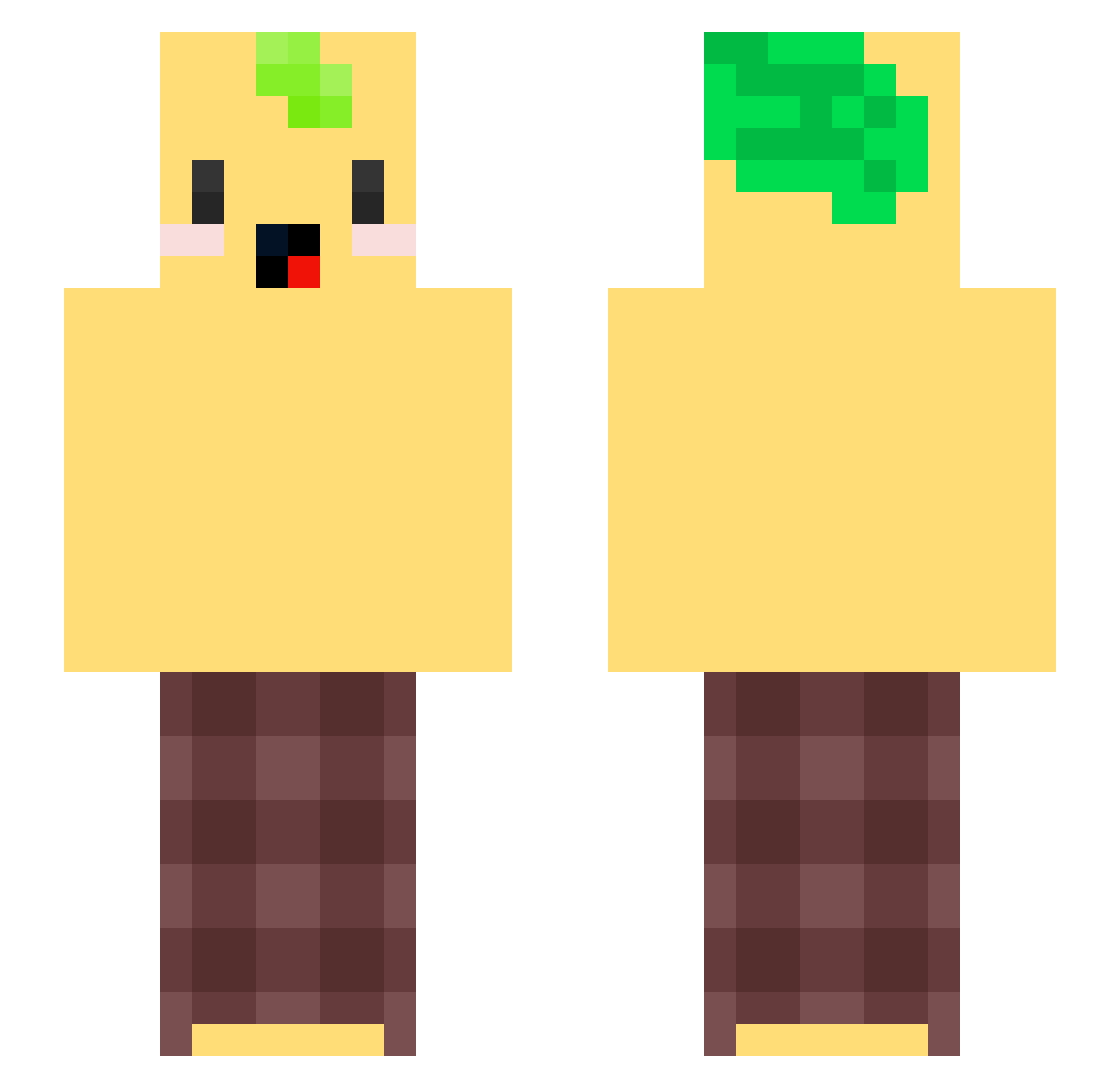 Jouplin Minecraft skin, front and back view