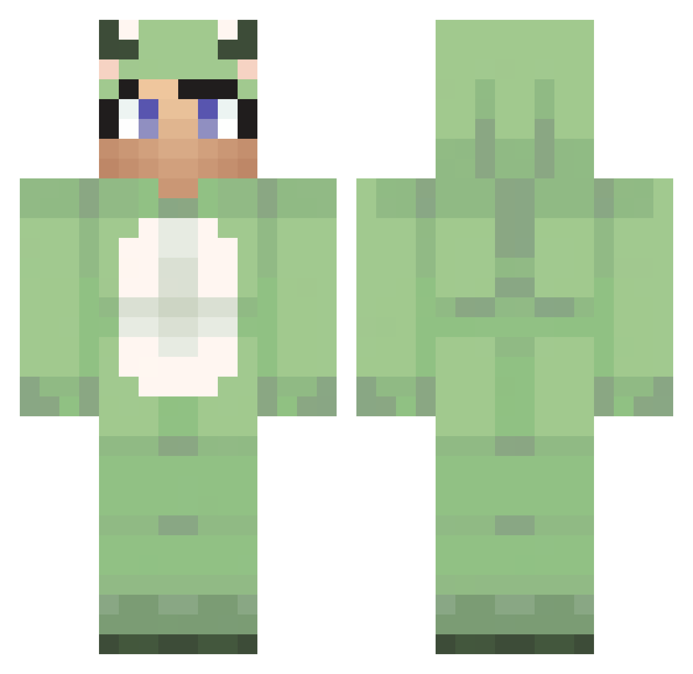 Markaay Minecraft skin, front and back view