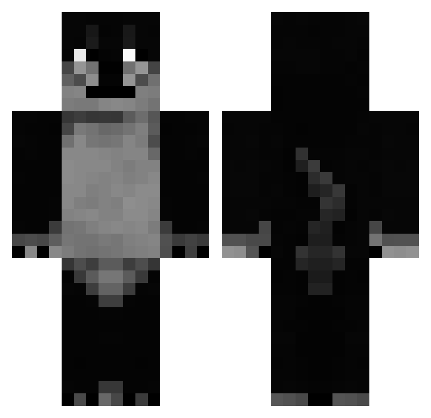 Plarity Minecraft skin, front and back view
