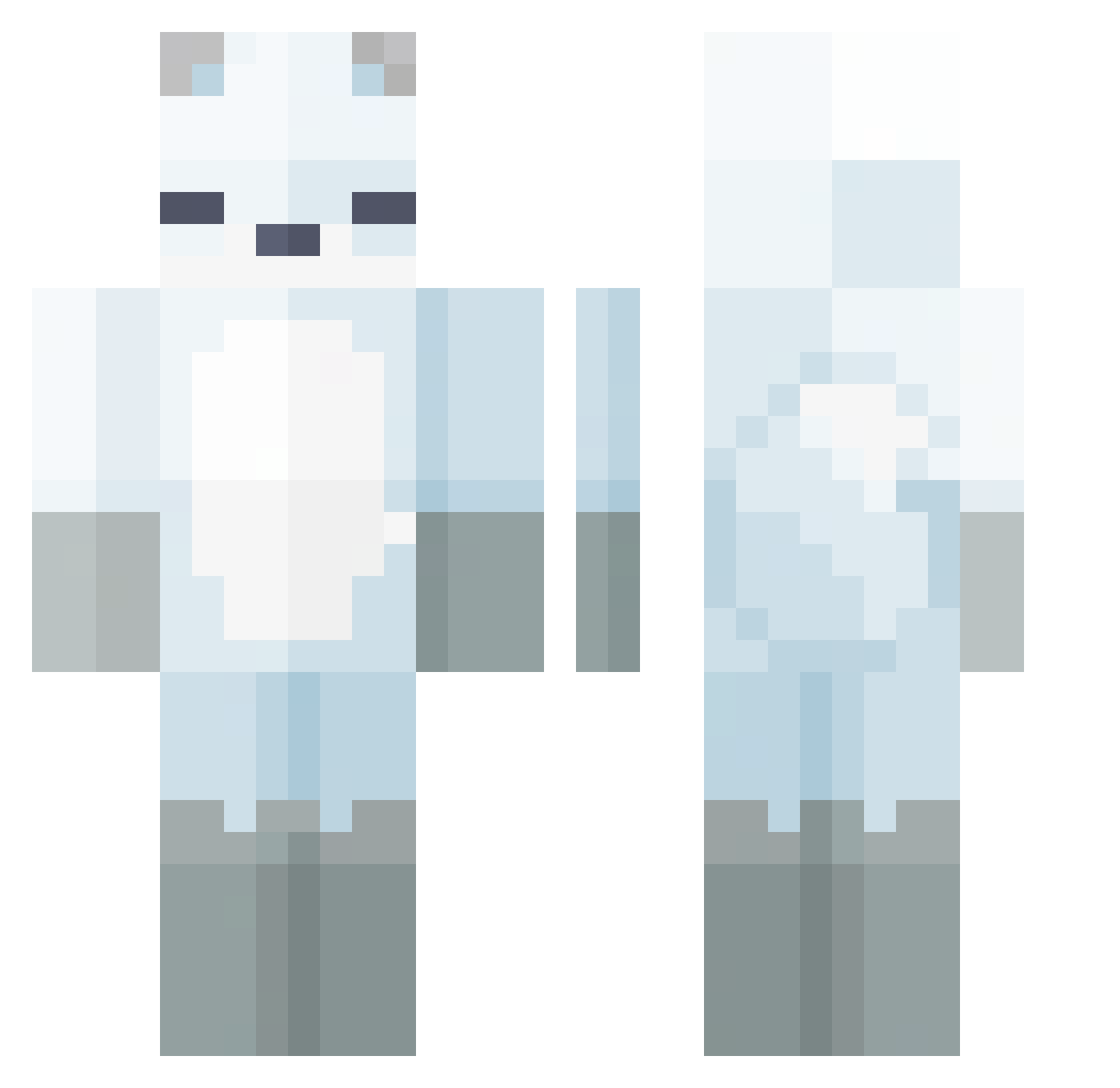 saltystream9344 Minecraft skin, front and back view