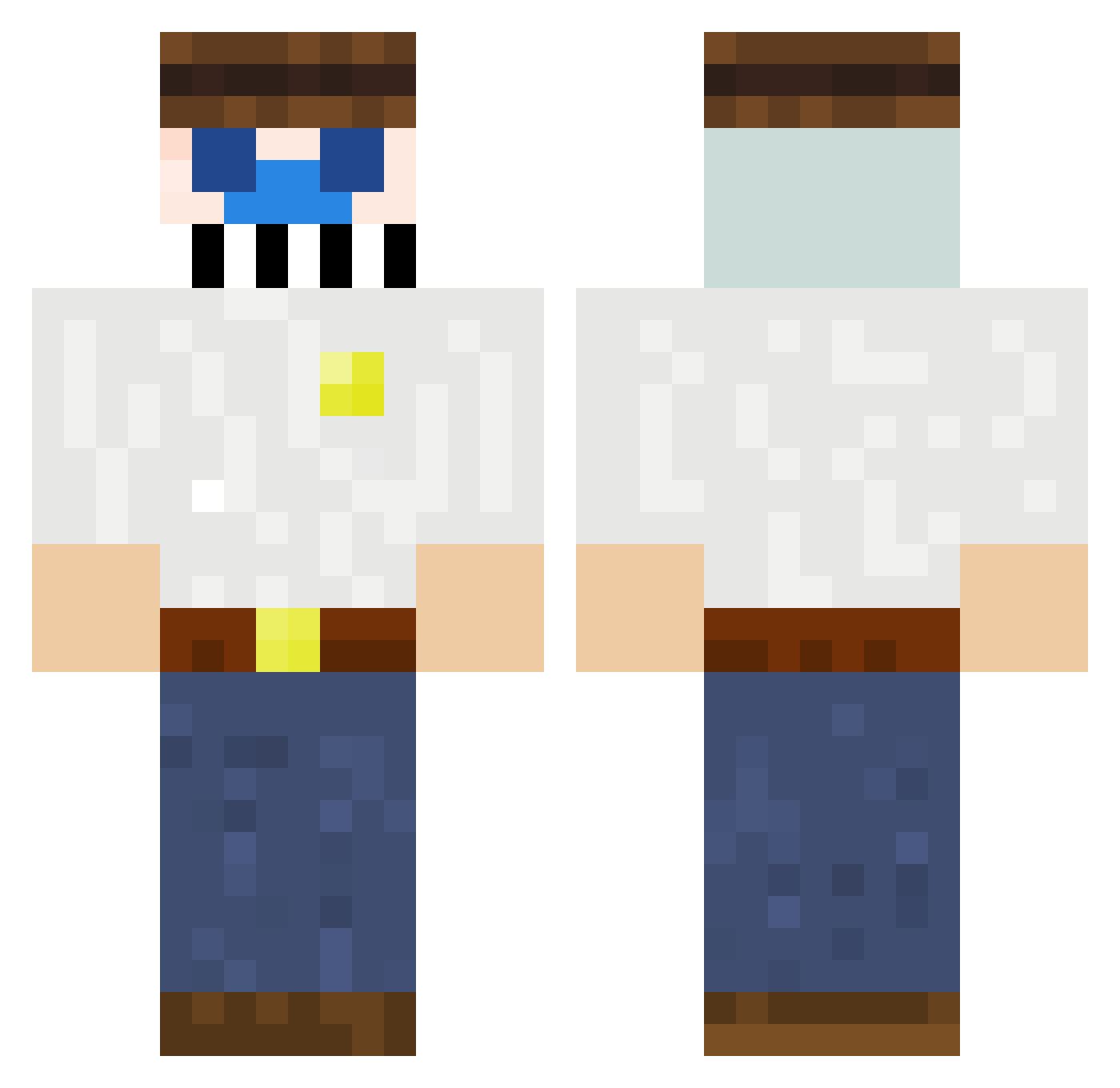 TemuIsAScam Minecraft skin, front and back view