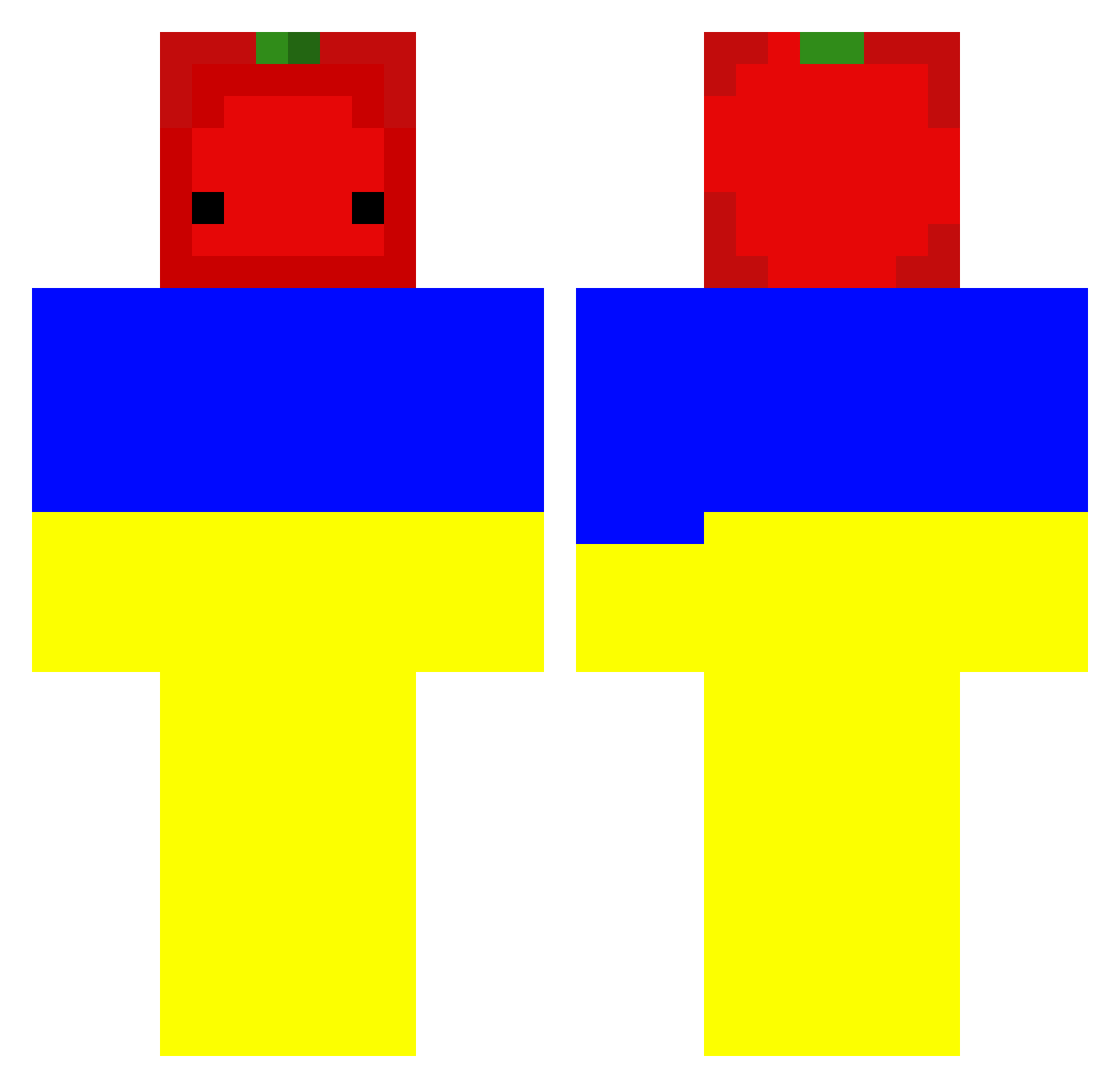 Tomat19 Minecraft skin, front and back view