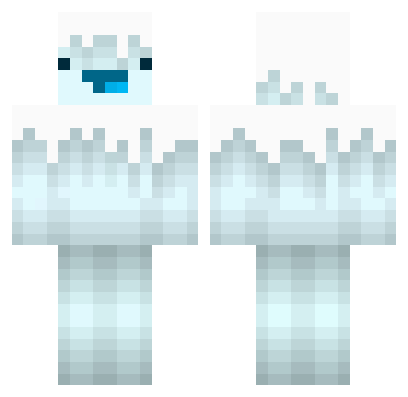 Sertion Minecraft skin, front and back view
