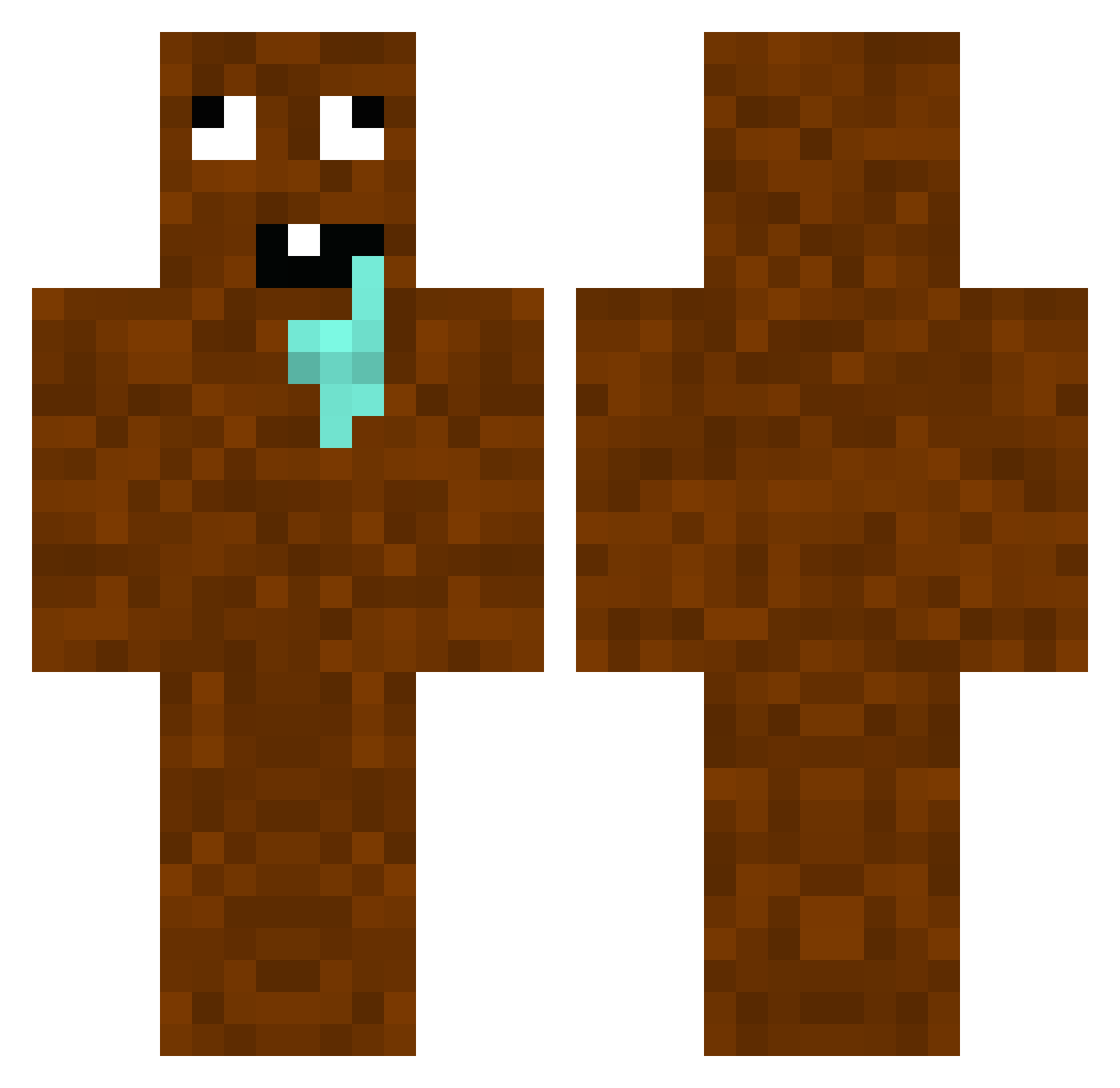 3nvixity Minecraft skin, front and back view