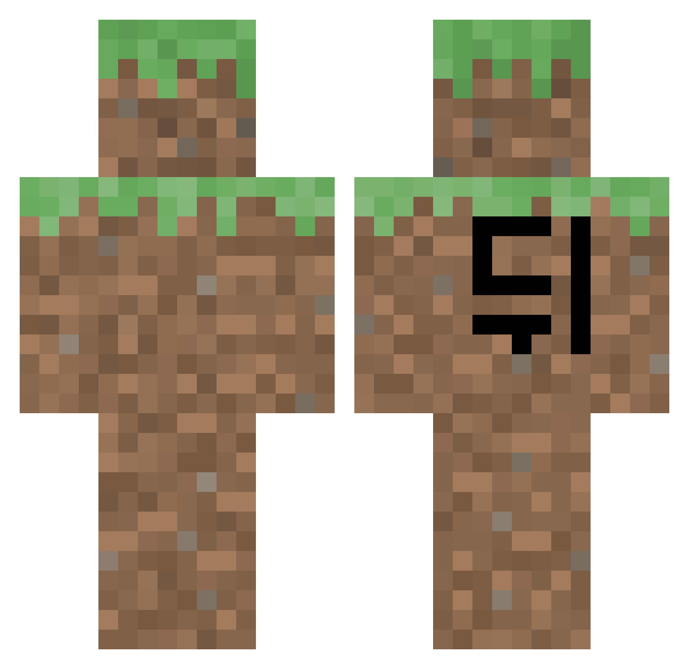 msms_msms Minecraft skin, front and back view