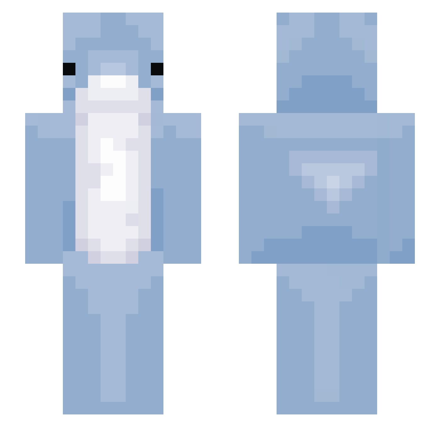 delphin Minecraft skin, front and back view