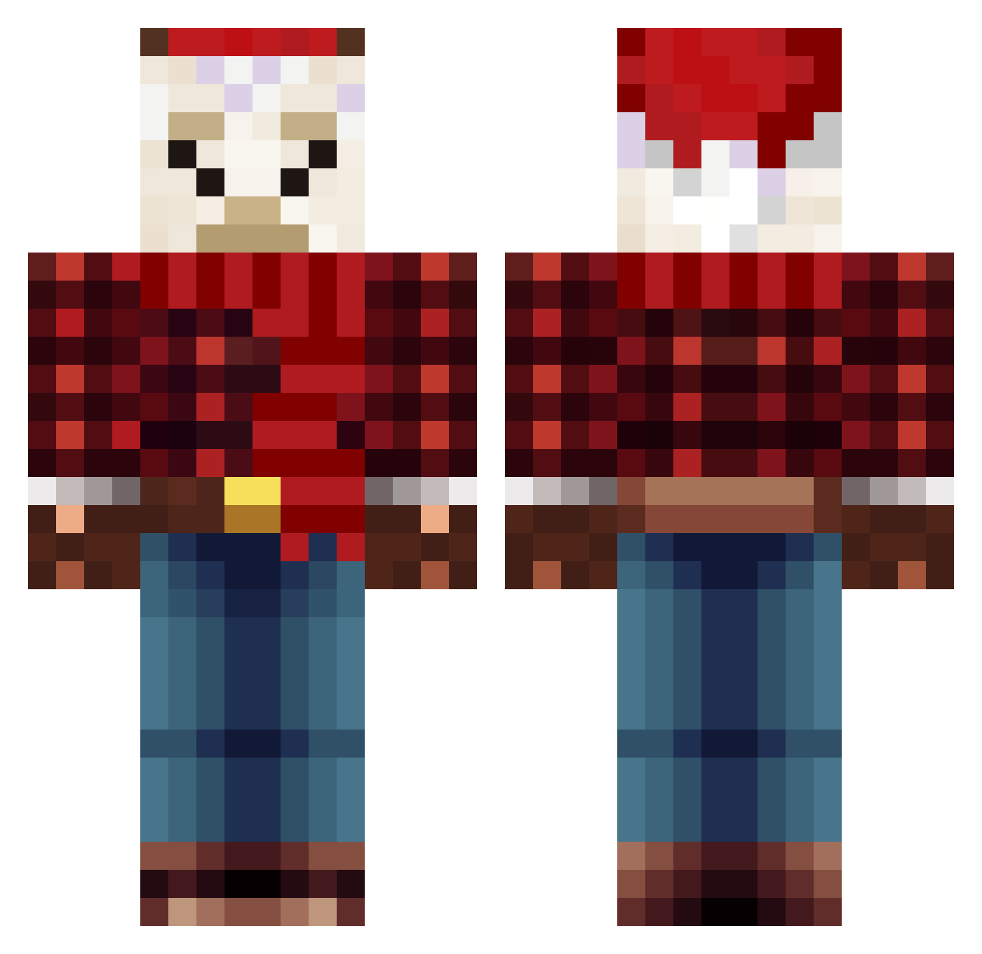 ToerkenSau Minecraft skin, front and back view