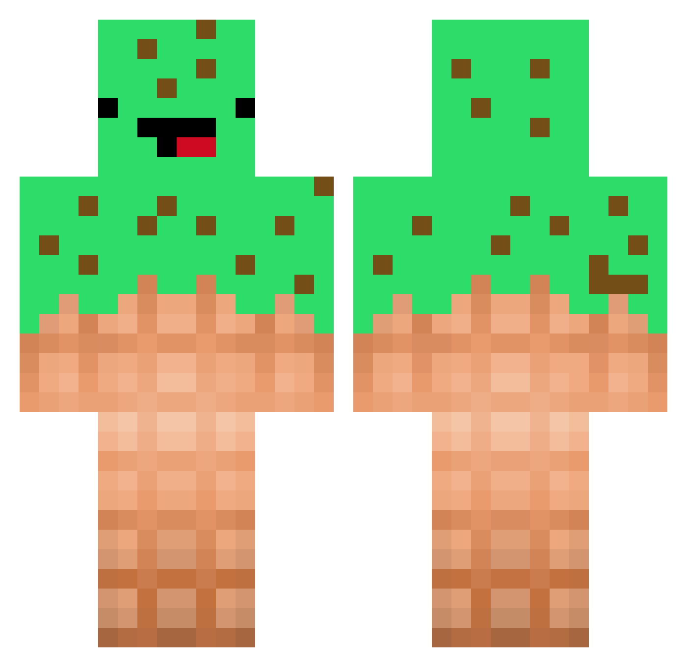 shreyas_singh Minecraft skin, front and back view