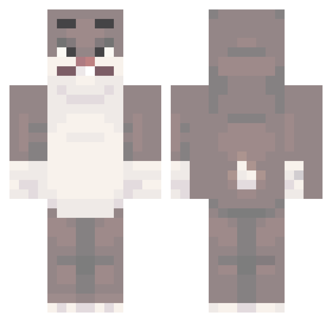 Stanboerkamp Minecraft skin, front and back view