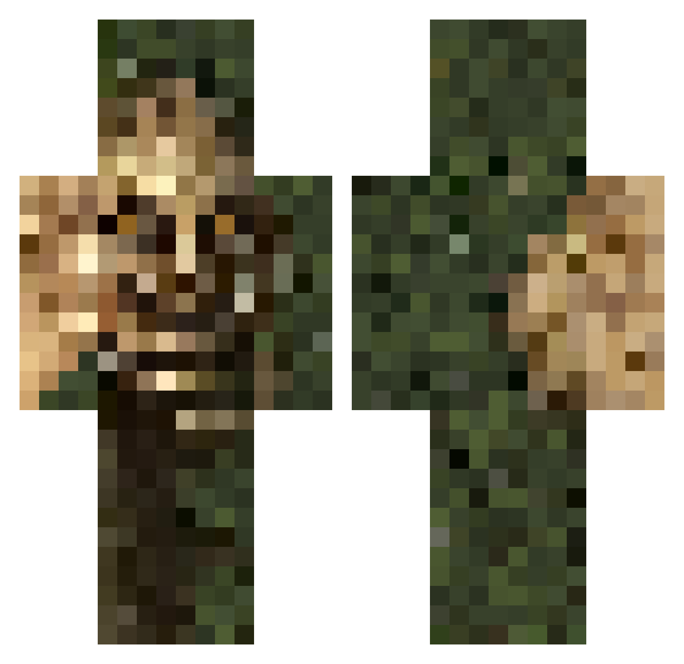 Bob_The_Tree Minecraft skin, front and back view