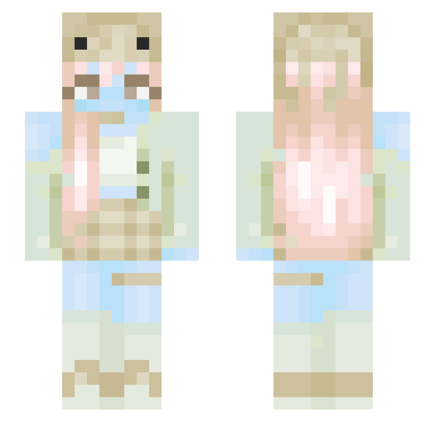 ValRavn118 Minecraft skin, front and back view