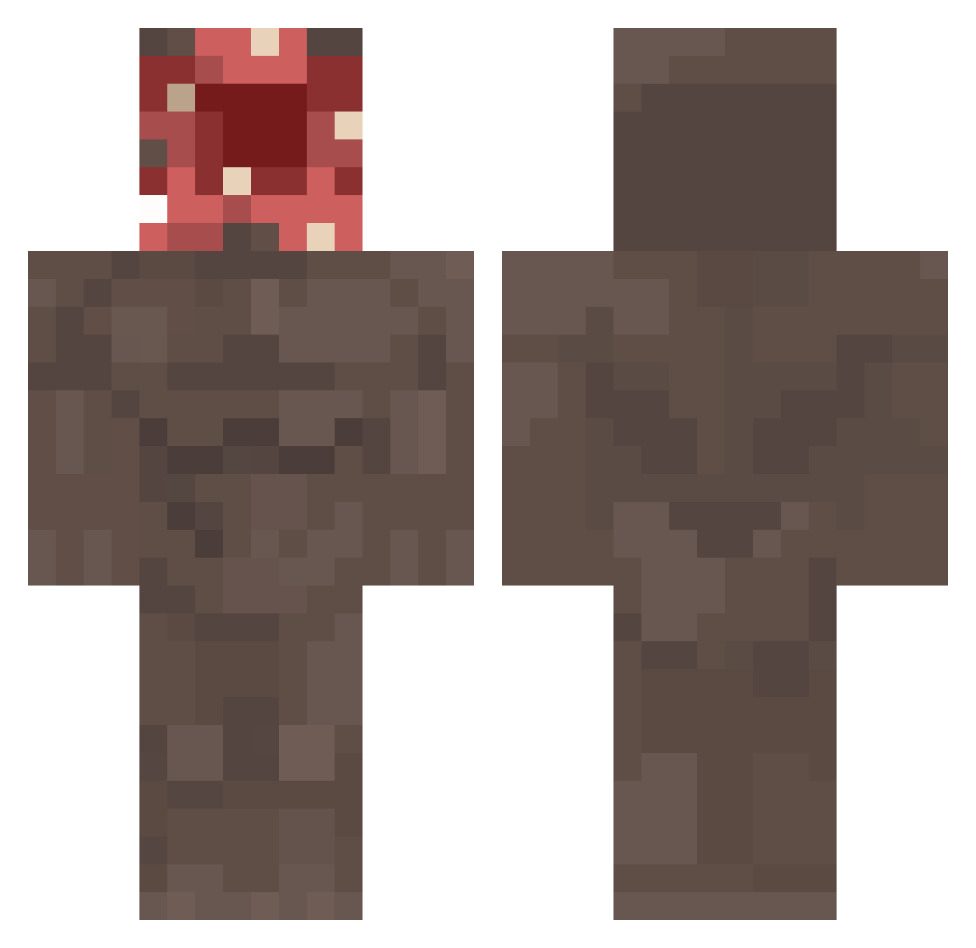 Mudpuppies Minecraft skin, front and back view