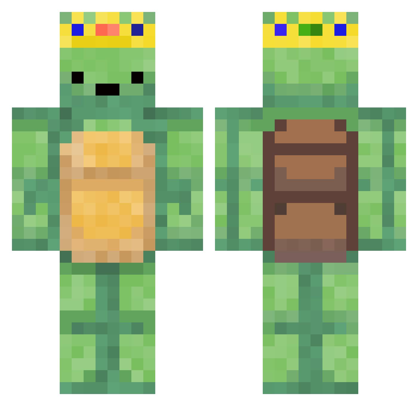 xXDarthTurtleXx Minecraft skin, front and back view