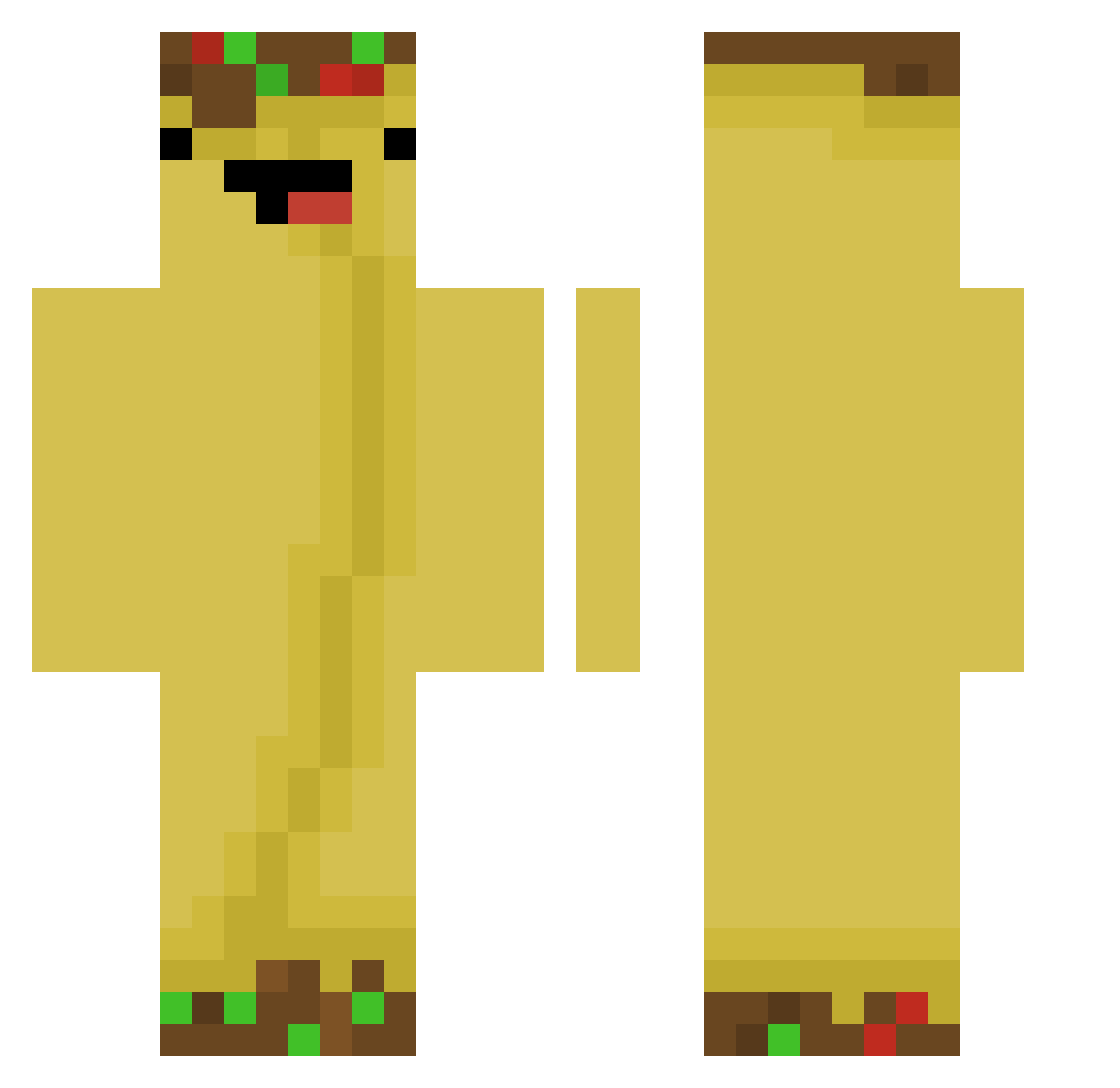 BurroLindo Minecraft skin, front and back view