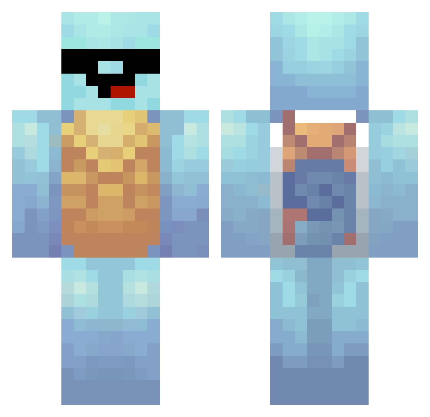 ShadowBlastoise Minecraft skin, front and back view