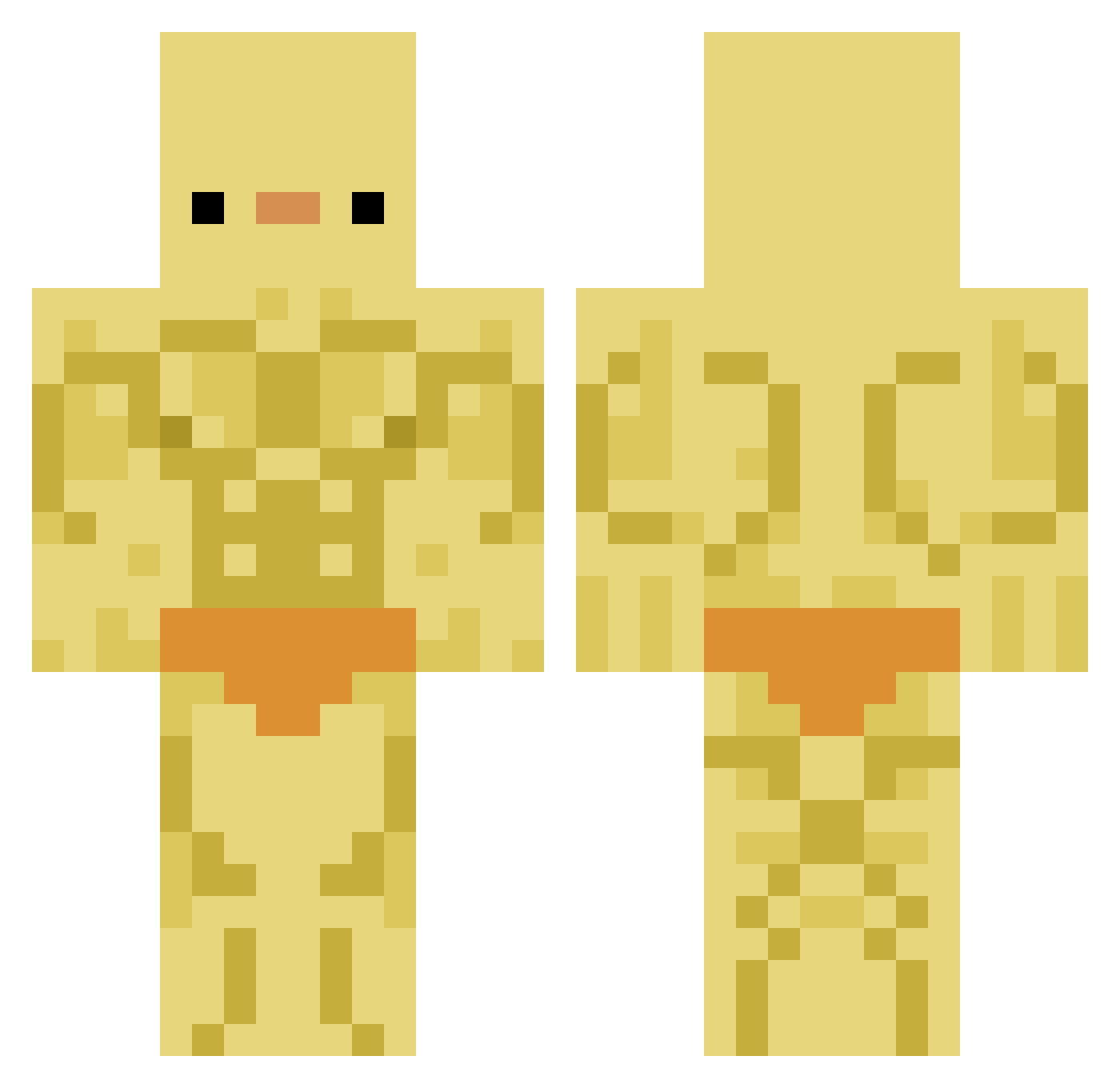 _WOJTASHINIO_ Minecraft skin, front and back view