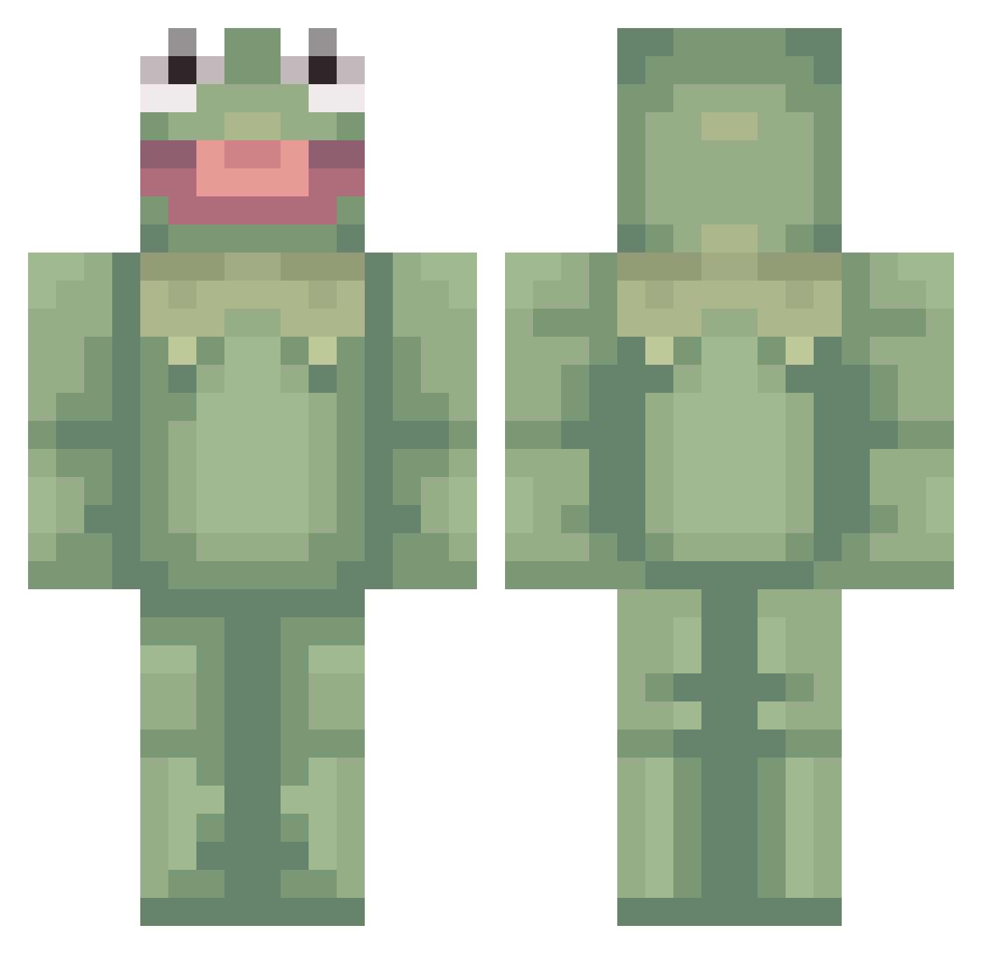 Sapo_Cocas Minecraft skin, front and back view