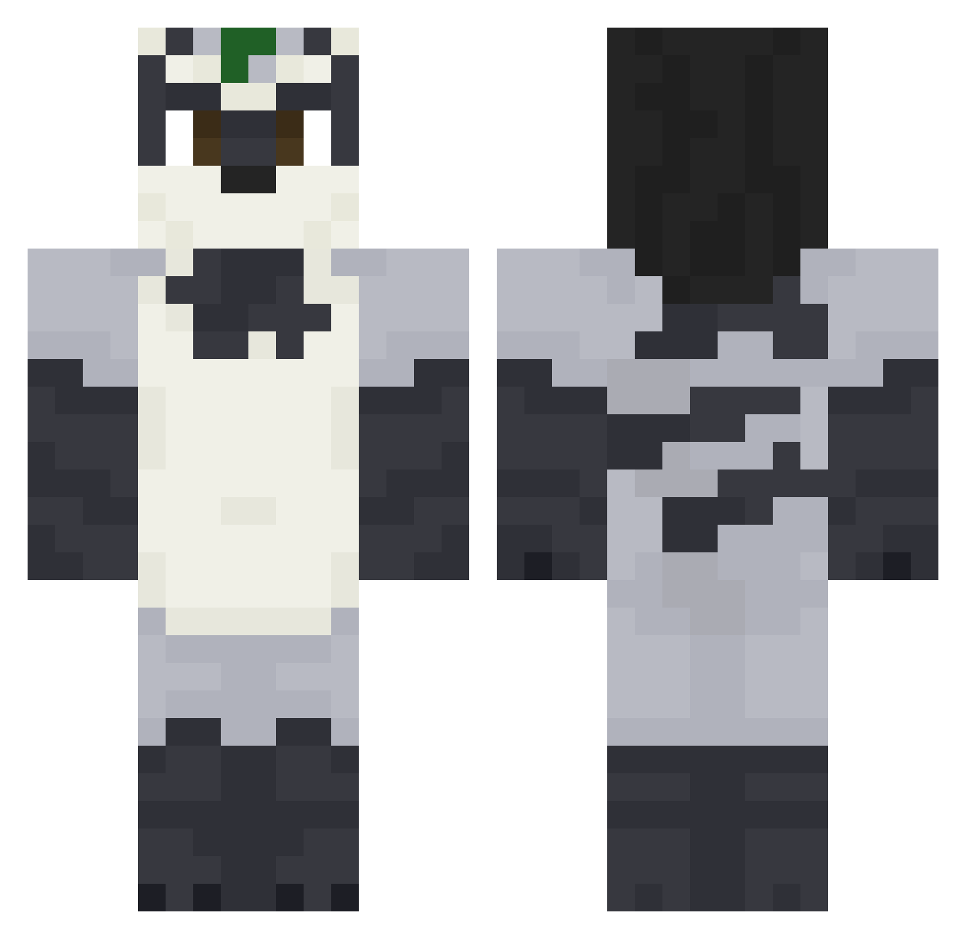 nico10lj Minecraft skin, front and back view