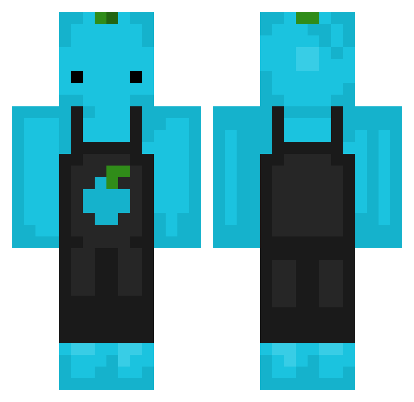 Ali_Deniz Minecraft skin, front and back view