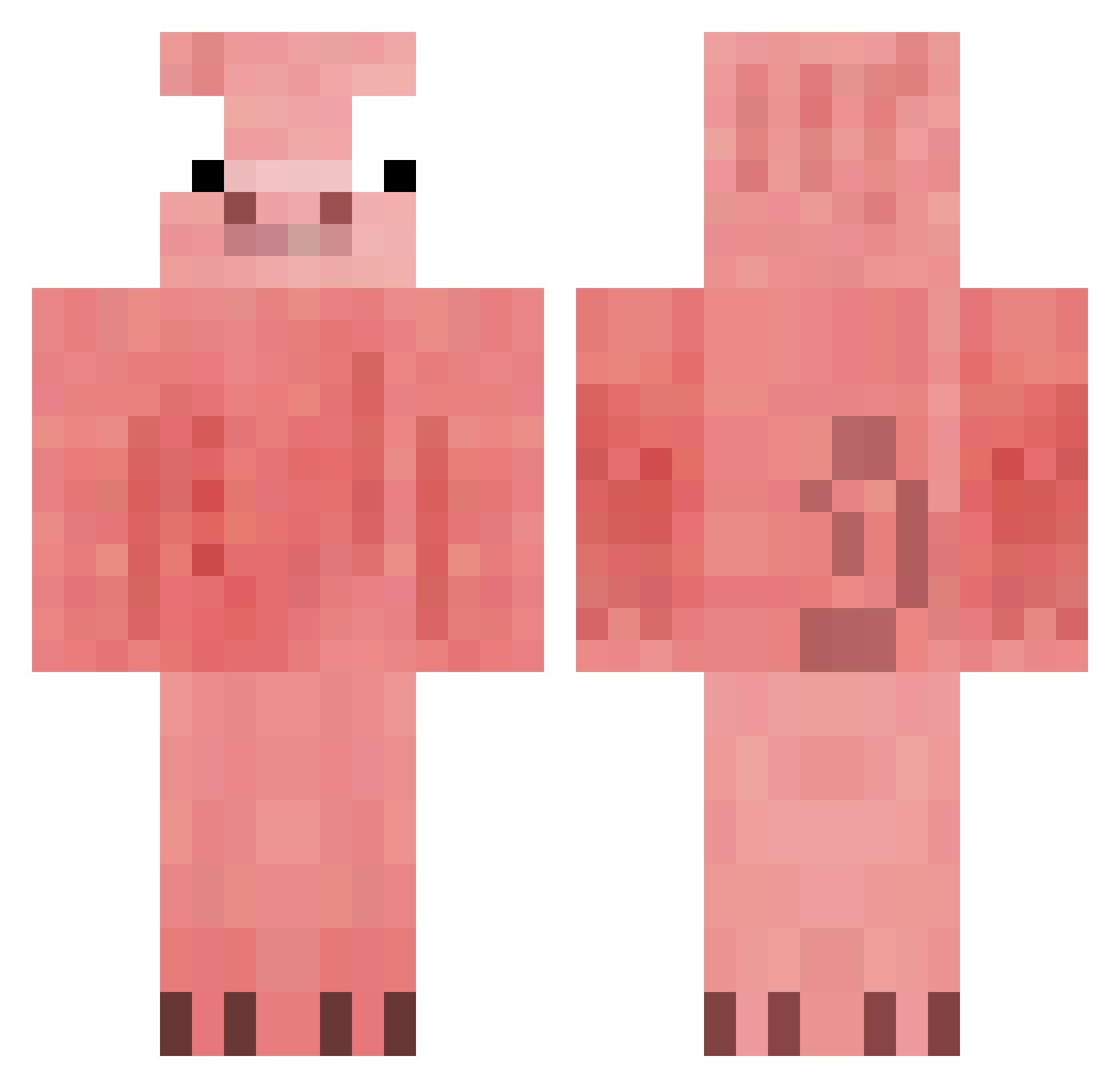 PINO1113 Minecraft skin, front and back view