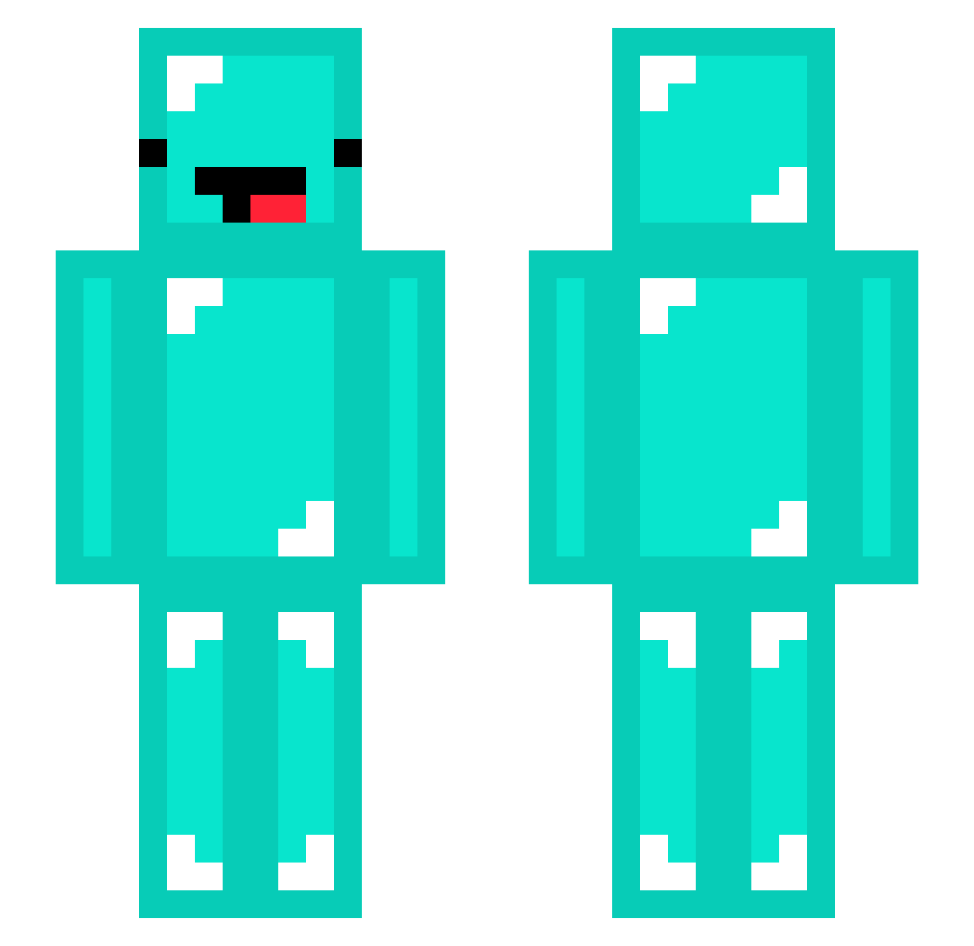 Rpnnt Minecraft skin, front and back view