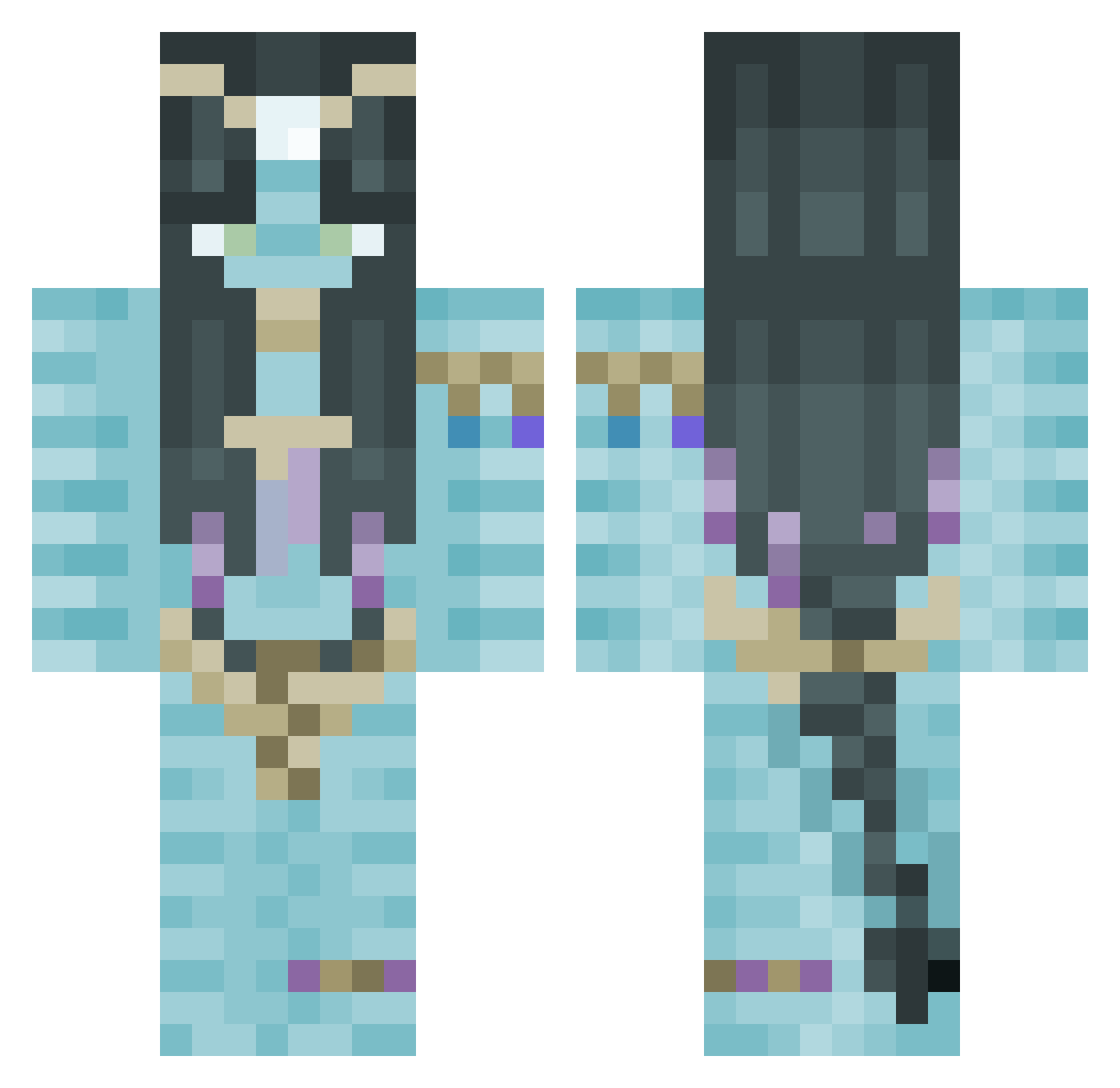 Delfin1134 Minecraft skin, front and back view