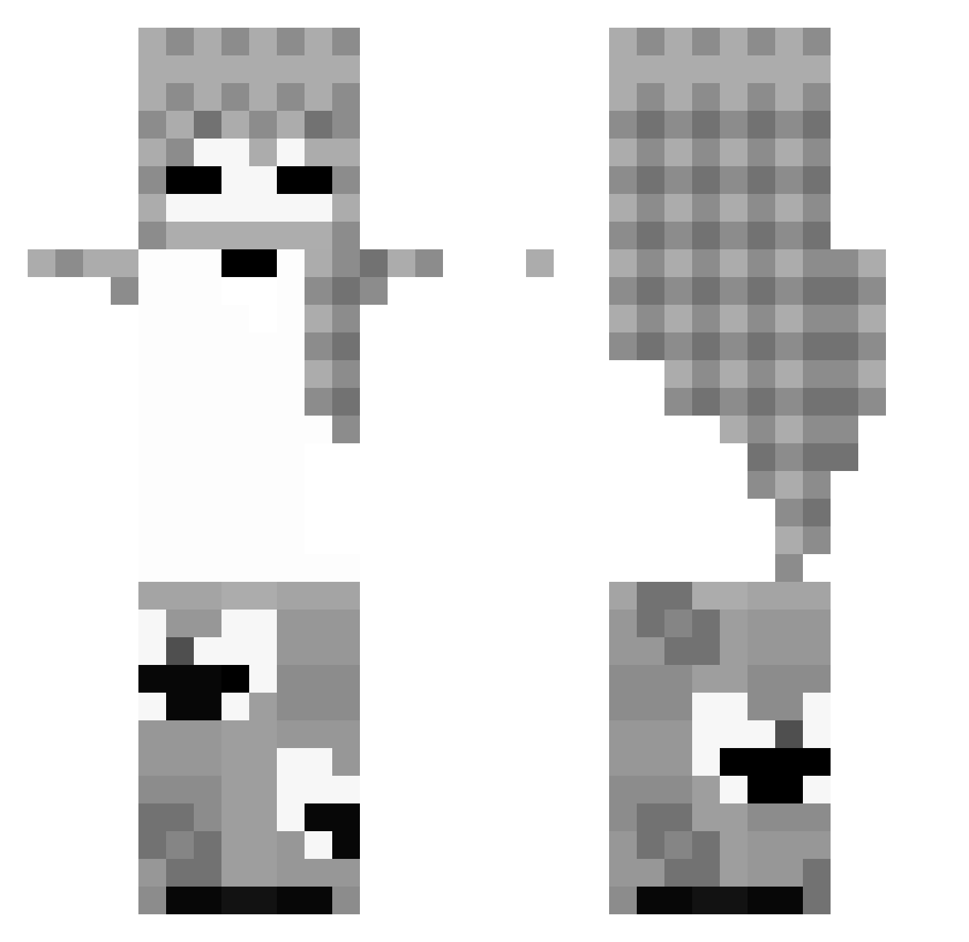 WojtusToKocvr Minecraft skin, front and back view