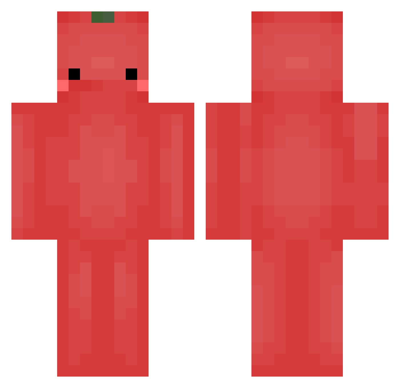 idontknowfuxx Minecraft skin, front and back view
