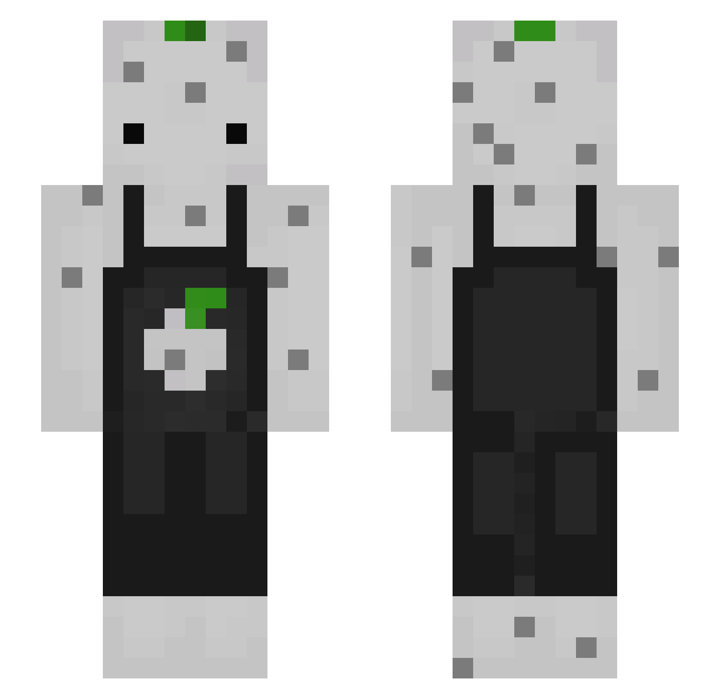 Enrolls Minecraft skin, front and back view