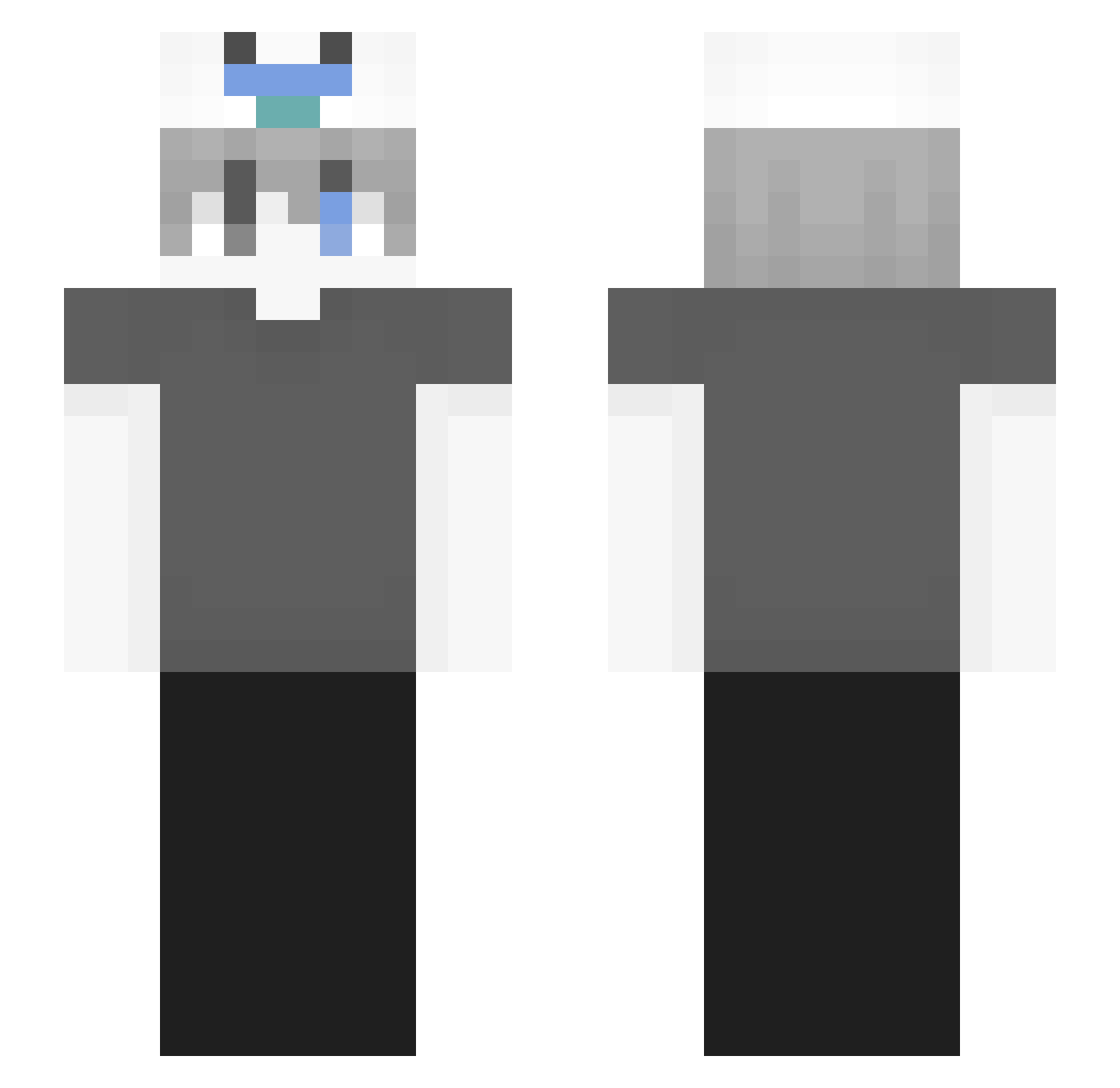 Plooshii Minecraft skin, front and back view