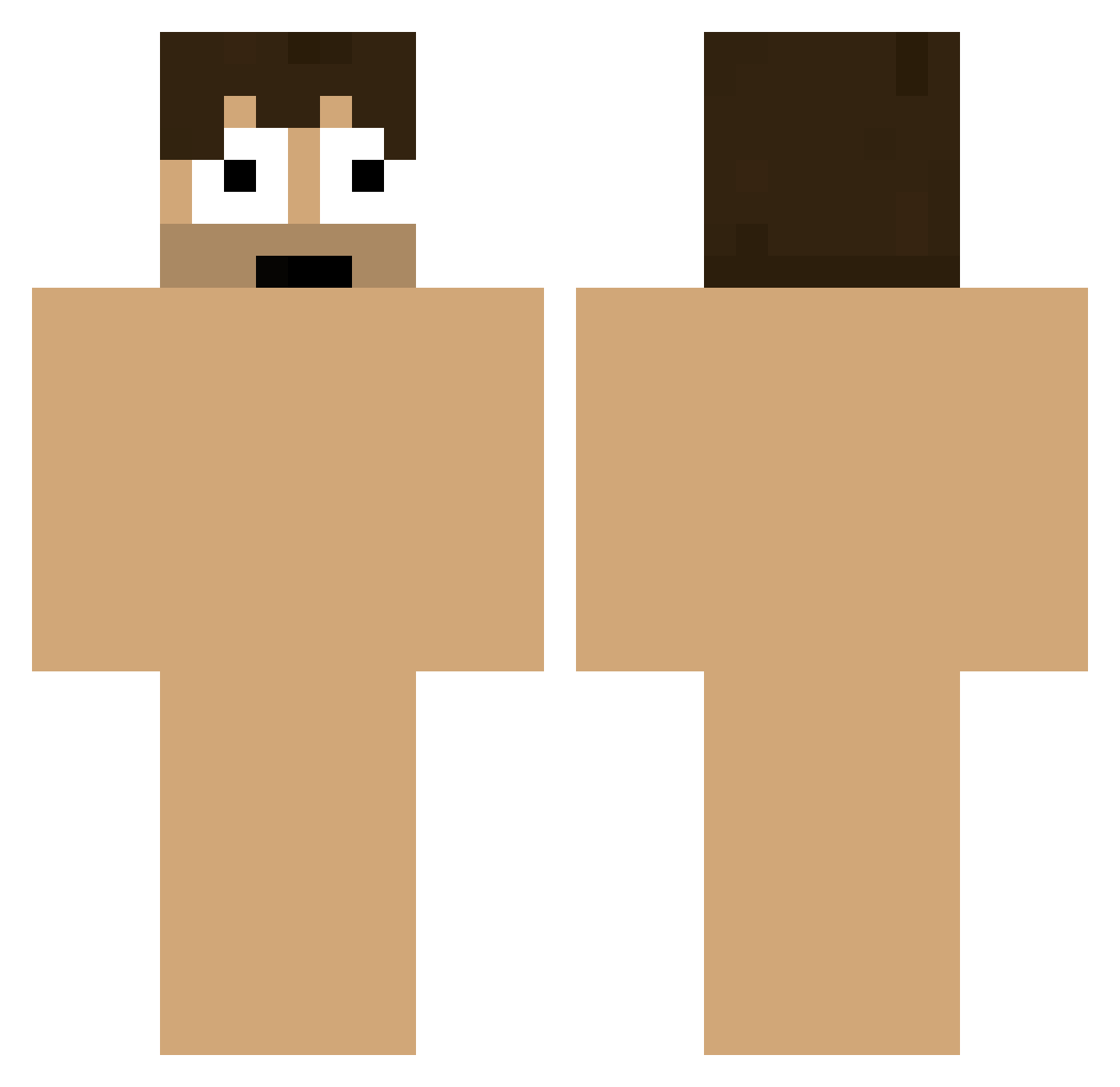 Eternelis Minecraft skin, front and back view