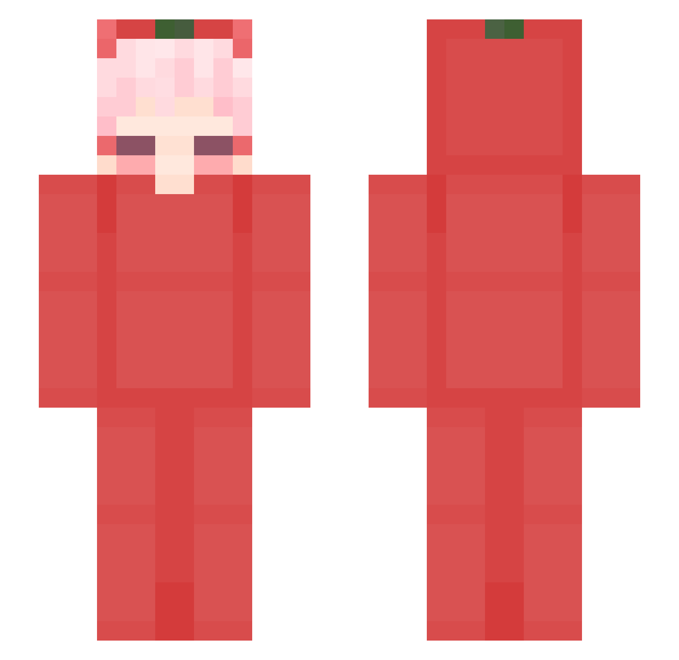 roriARG Minecraft skin, front and back view